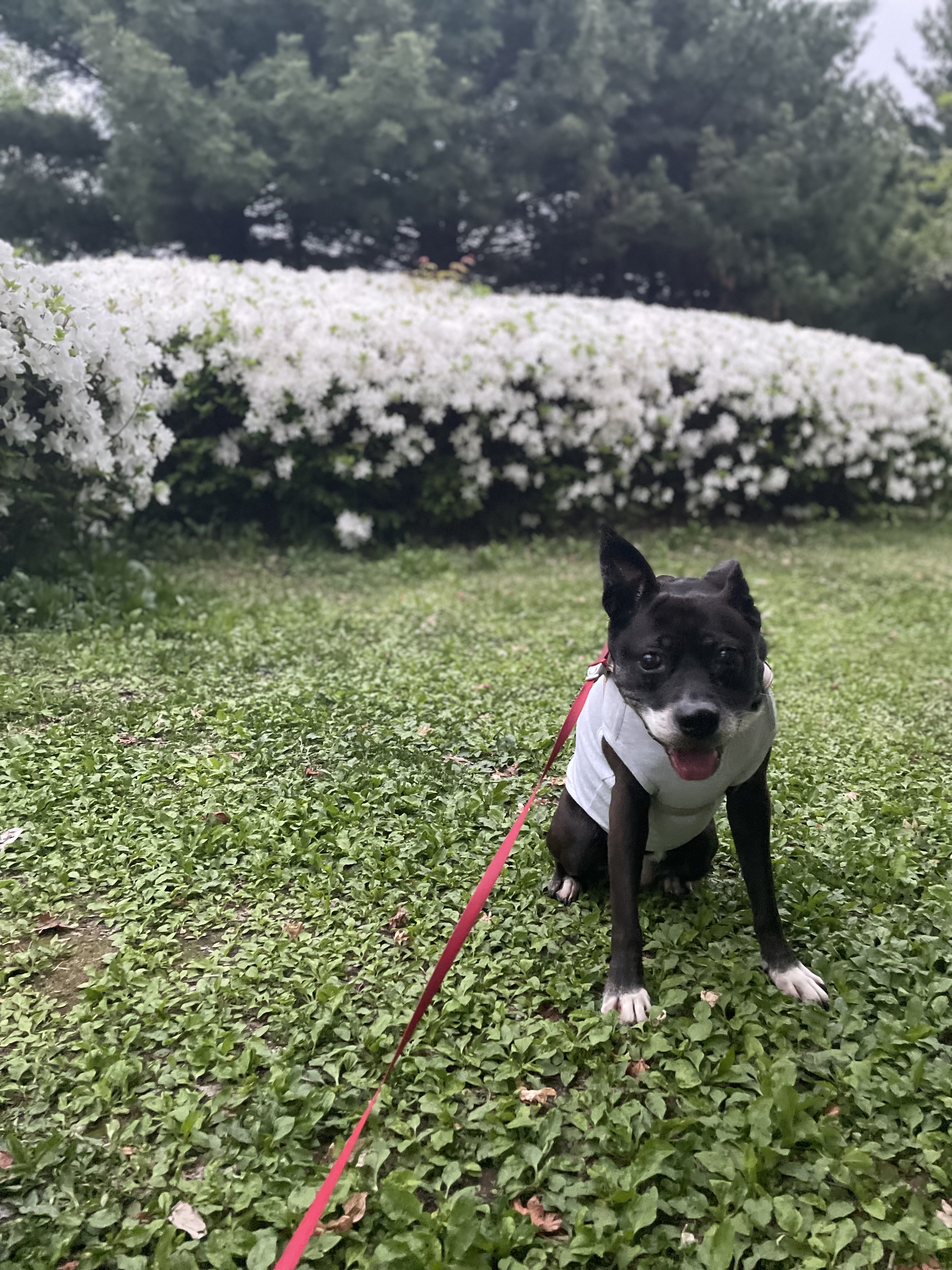 10년이 지나도 여전히 사랑스러운 딩동이