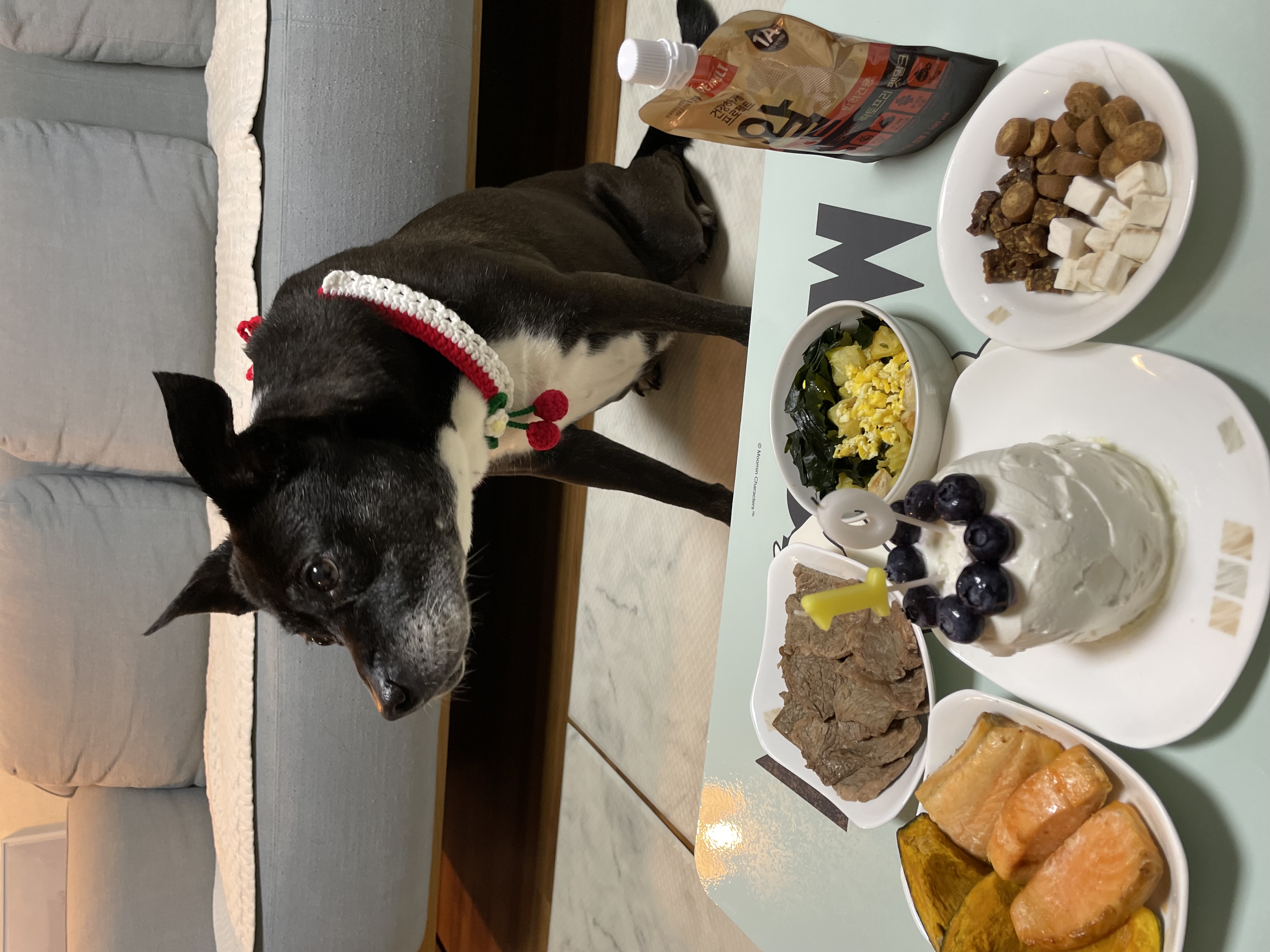 10년이 지나도 여전히 사랑스러운 딩동이