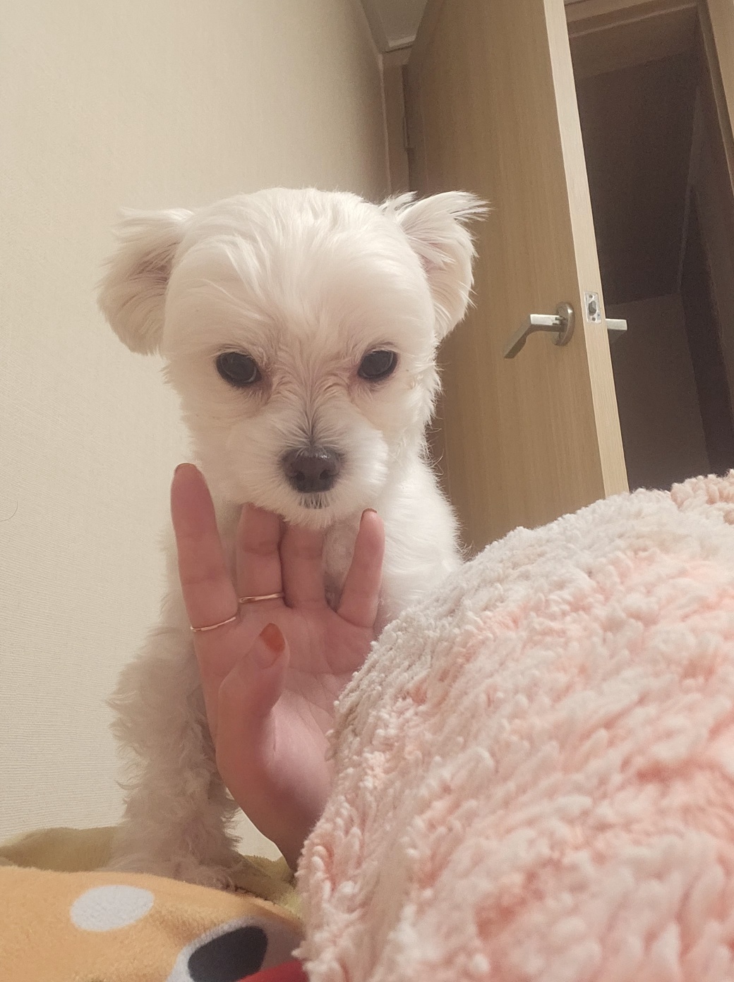 민성(구.유성) 1년 후기