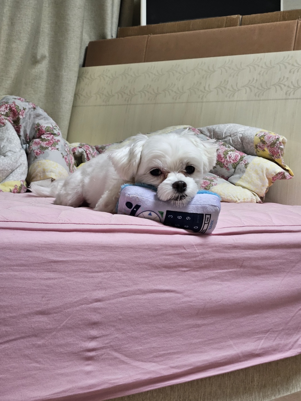 민성(구.유성) 1년 후기