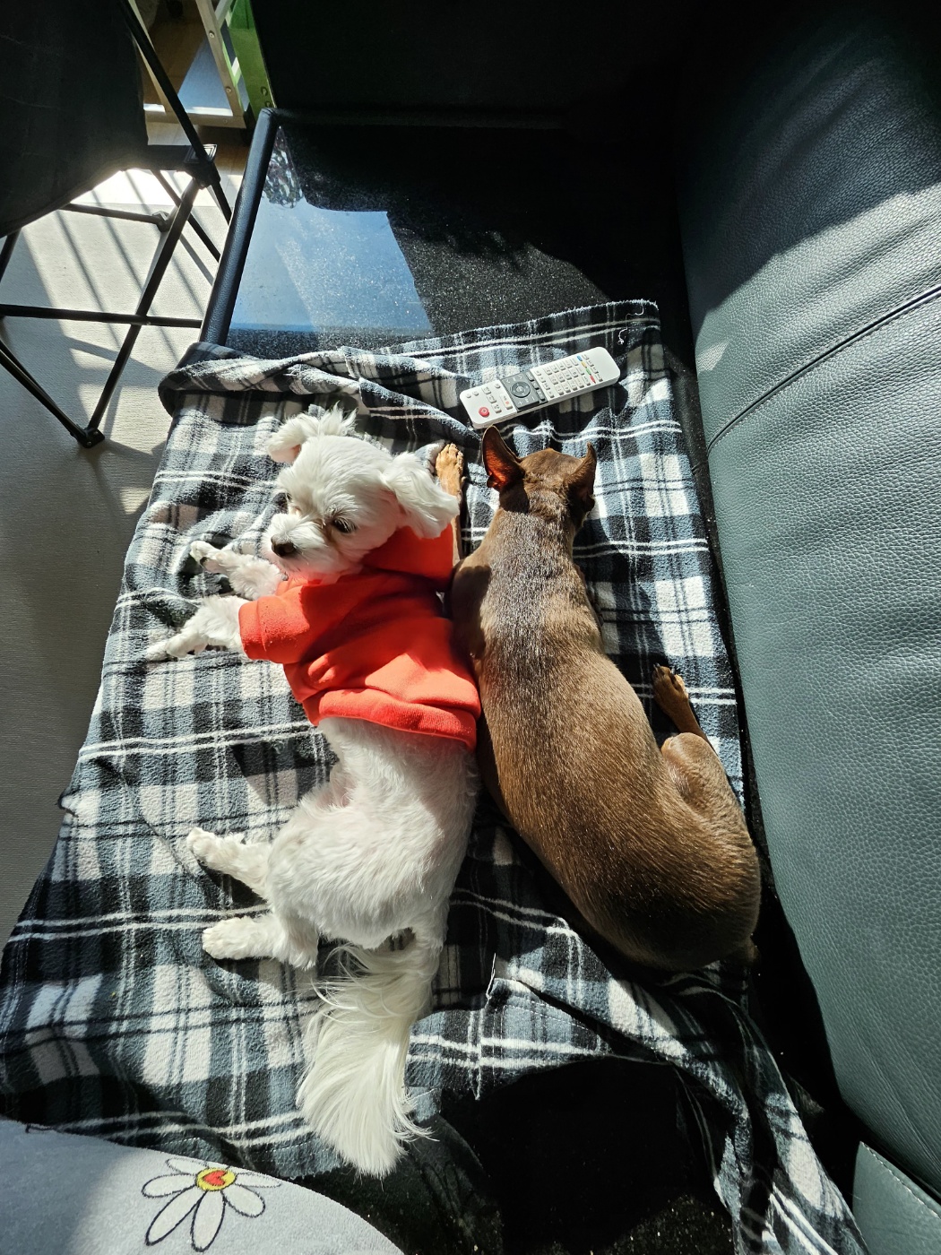 민성(구.유성) 1년 후기