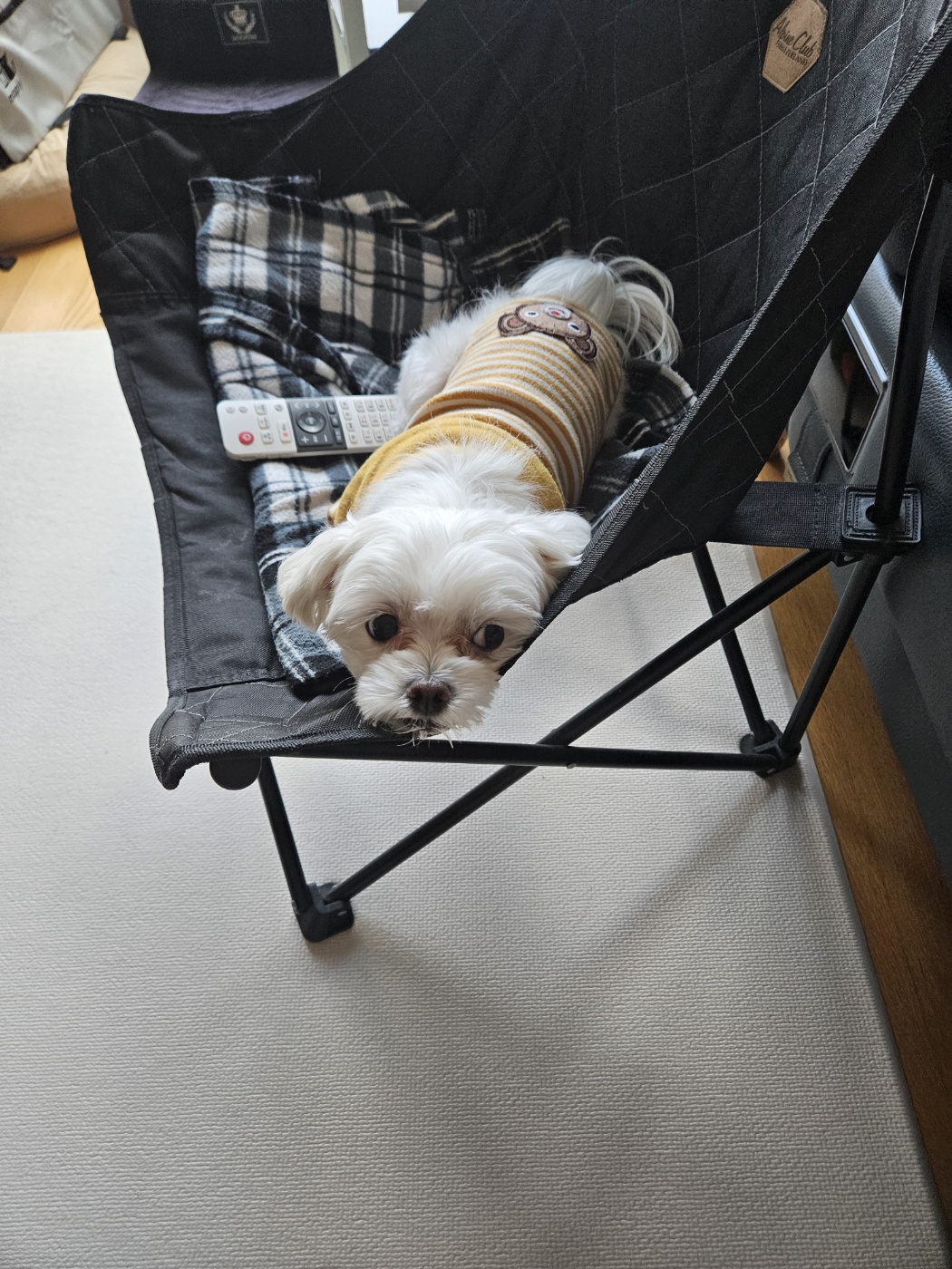 민성(구.유성) 1년 후기