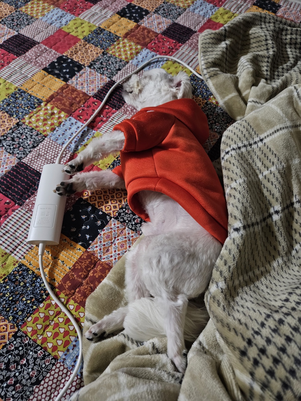 민성(구.유성) 1년 후기