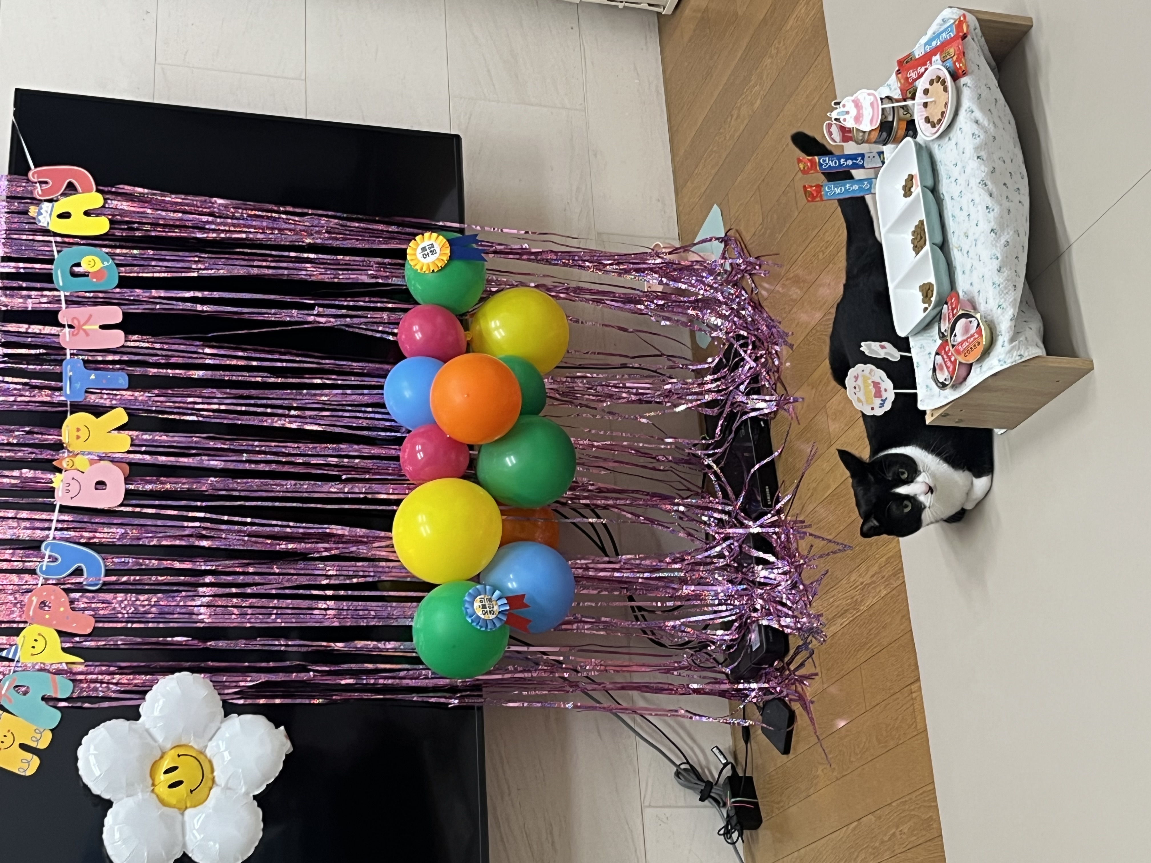 어겐이&바든이 입양 1주년 후기