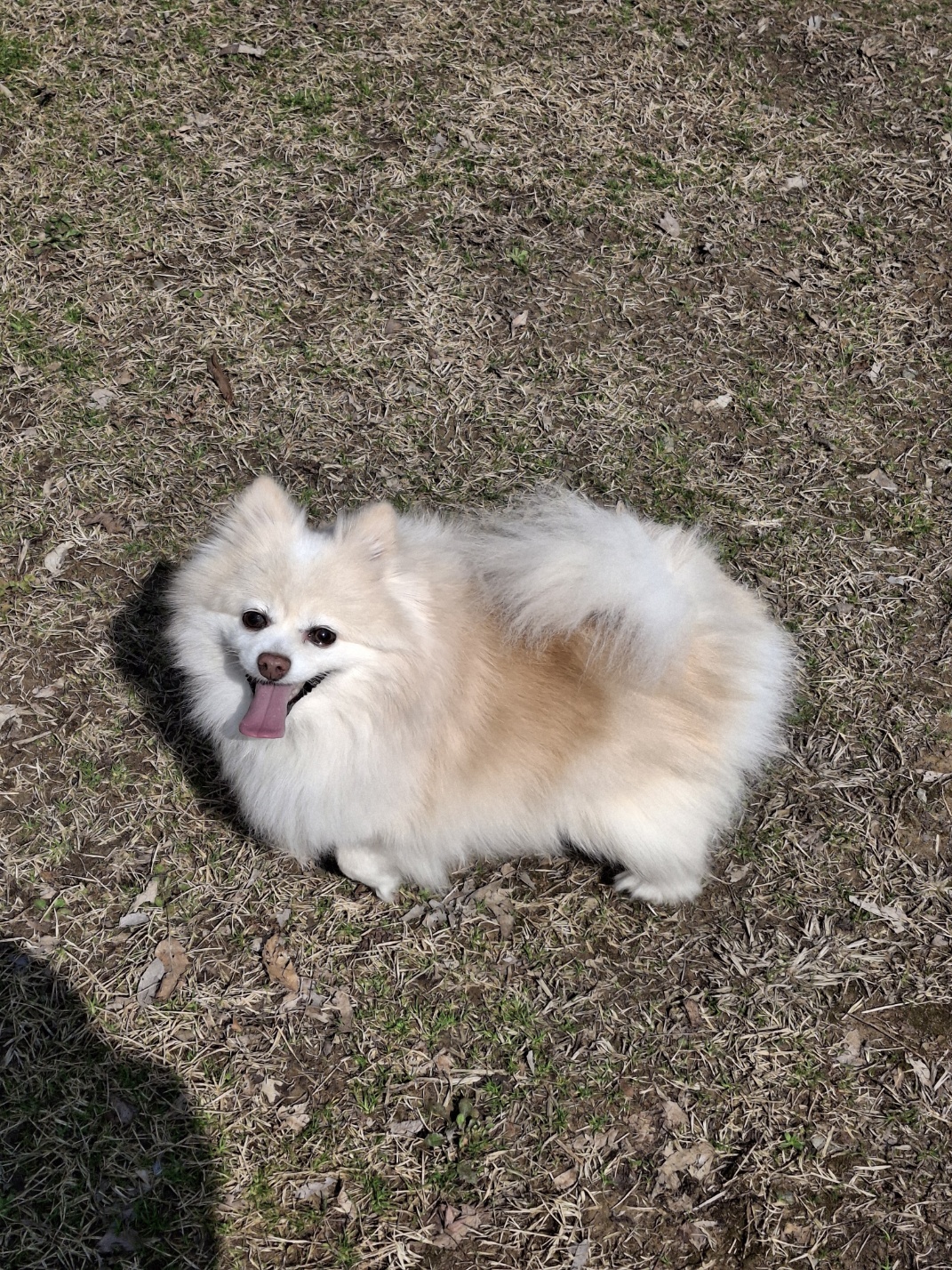 보배 인사드려요^^