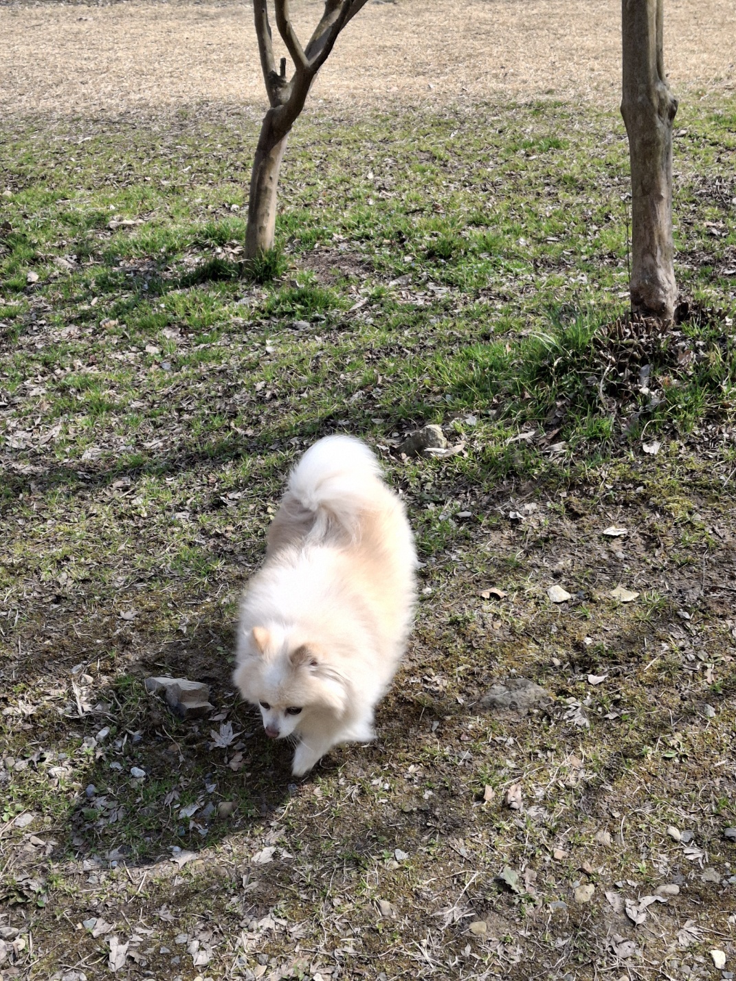 보배 인사드려요^^
