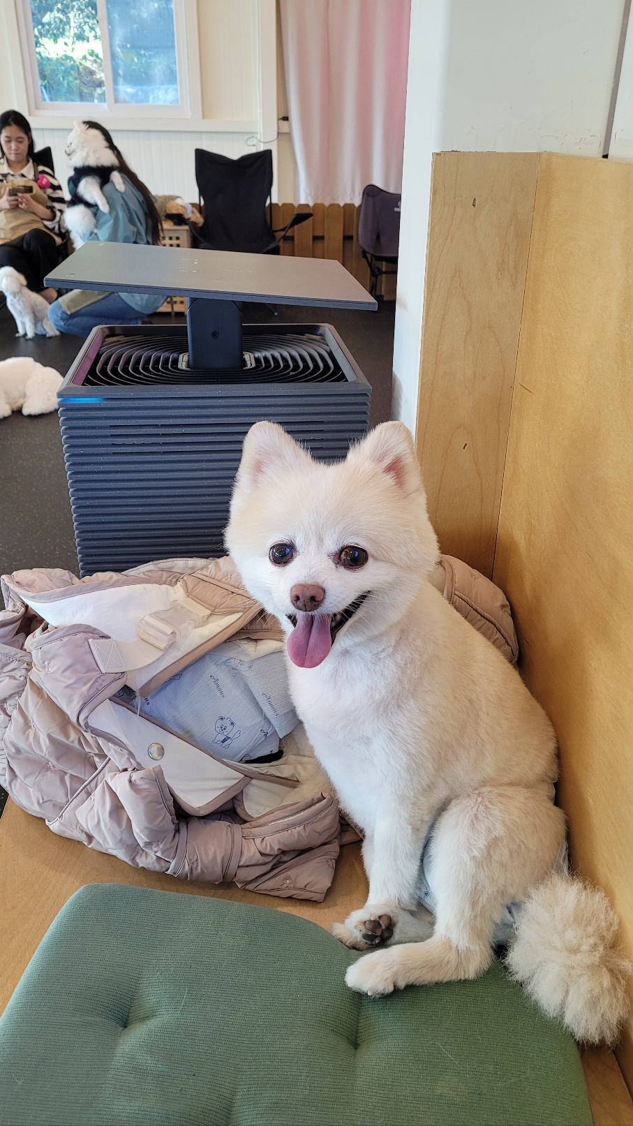 보배 인사드려요^^