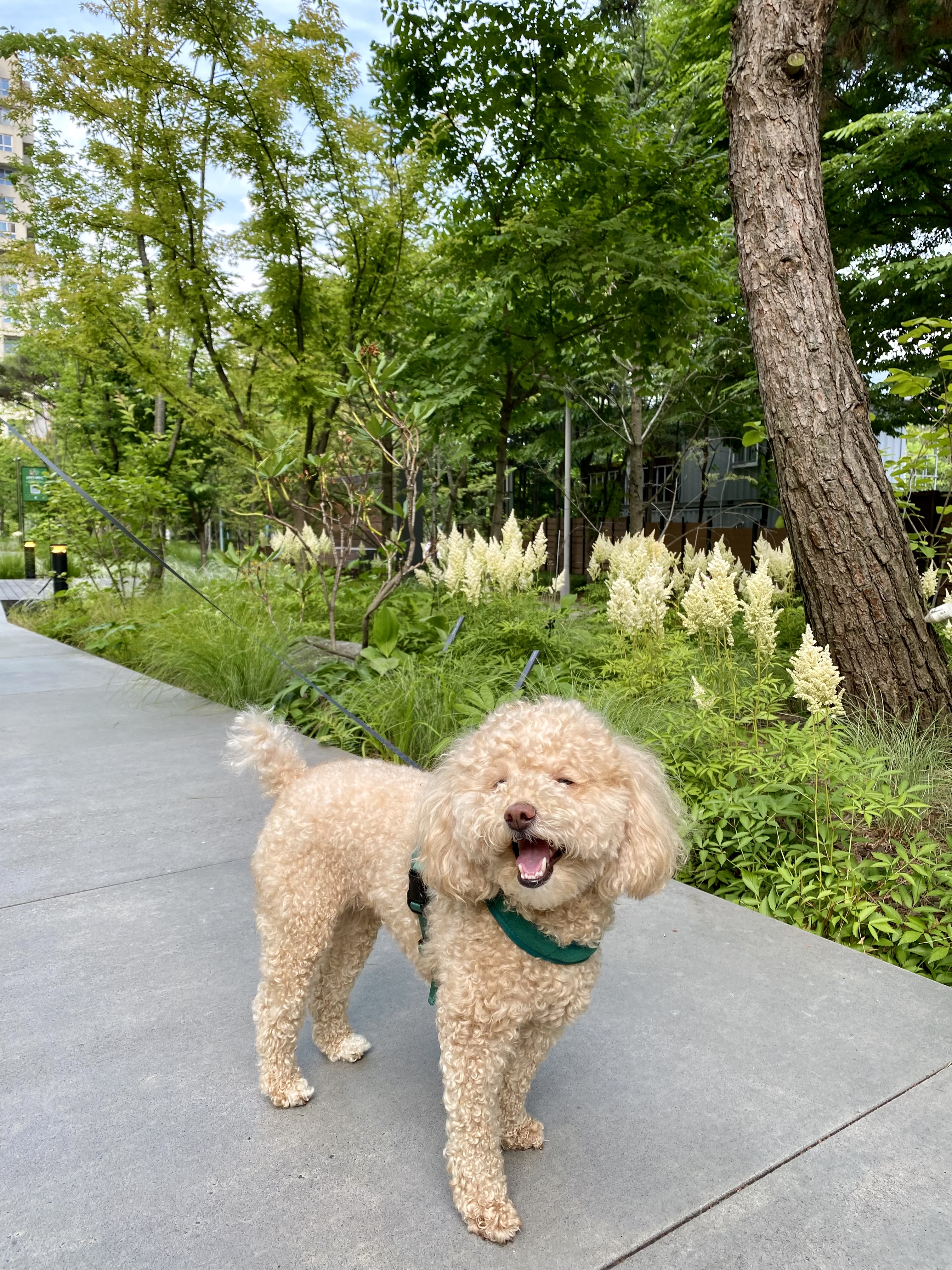 랑이(곤지암 해사) 4년차 후기입니다.