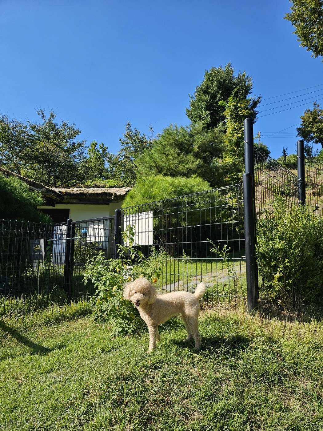 랑이(곤지암 해사) 4년차 후기입니다.