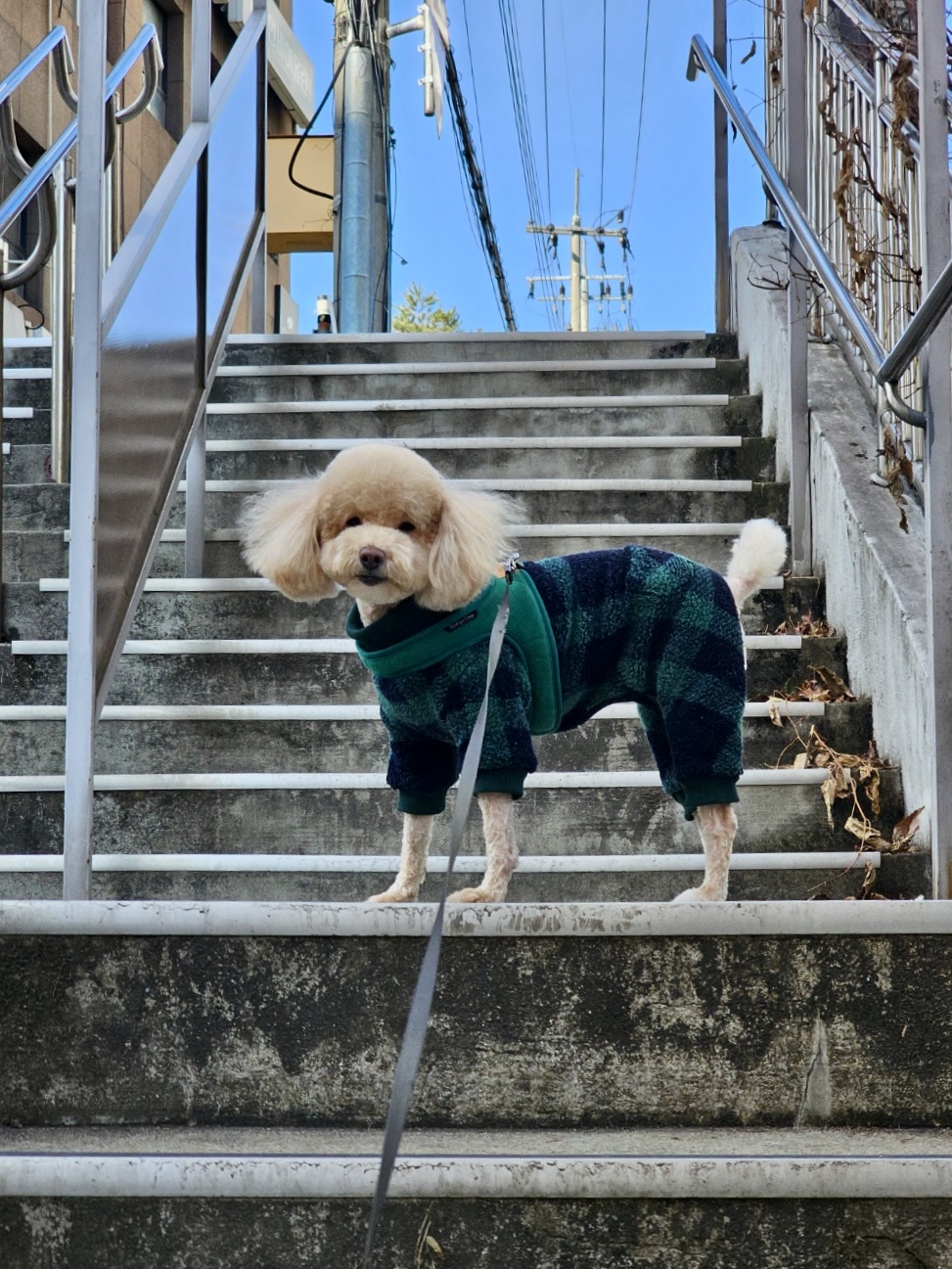 랑이(곤지암 해사) 4년차 후기입니다.