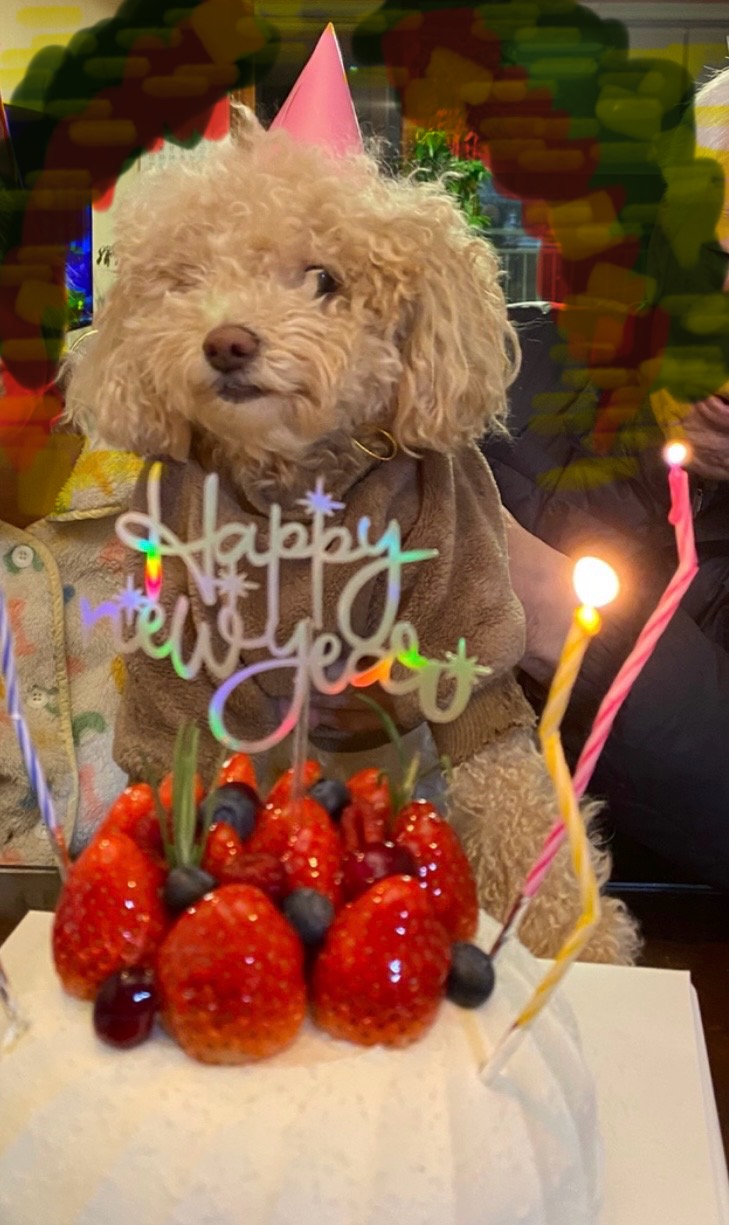 랑이(곤지암 해사) 4년차 후기입니다.