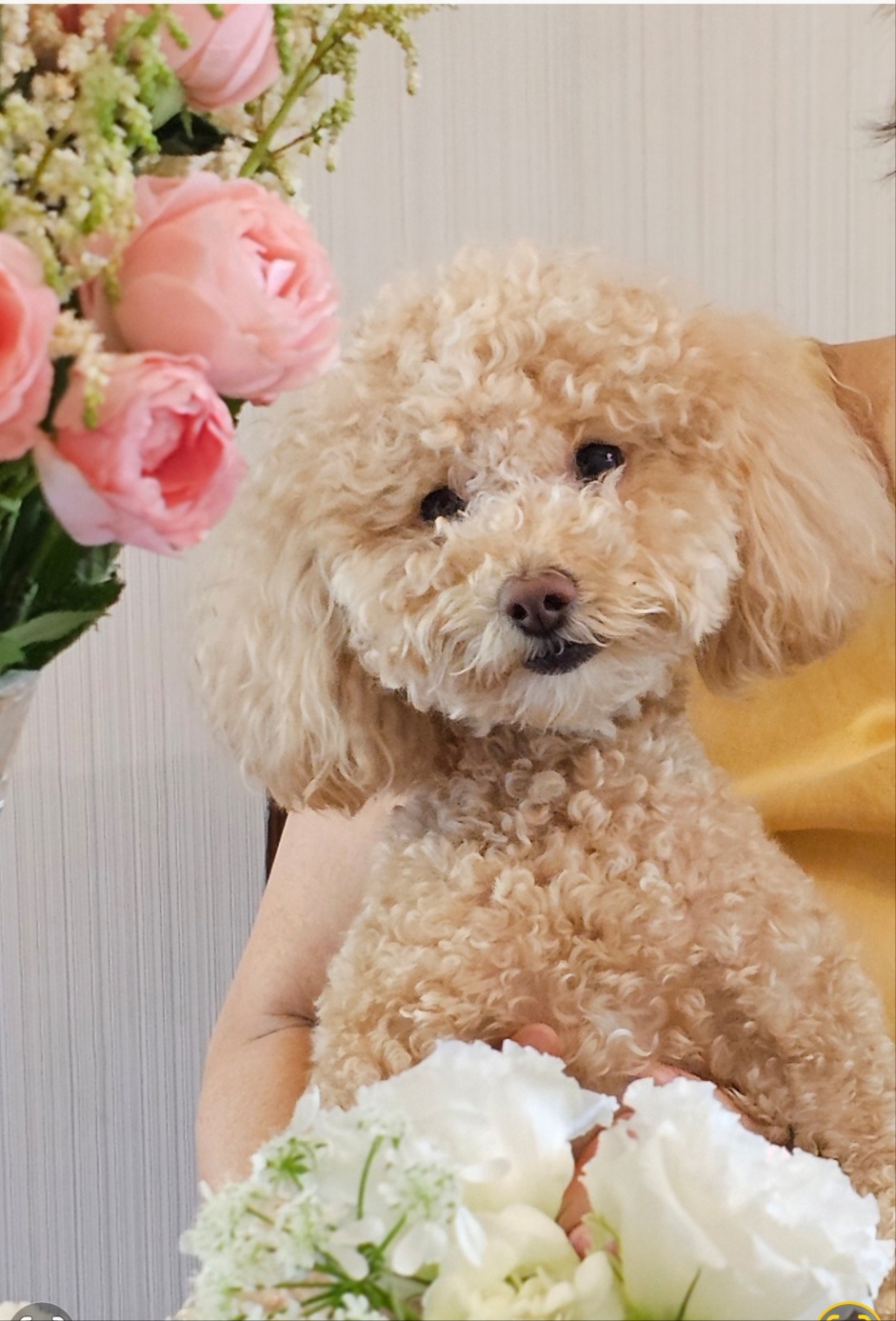 랑이(곤지암 해사) 4년차 후기입니다.