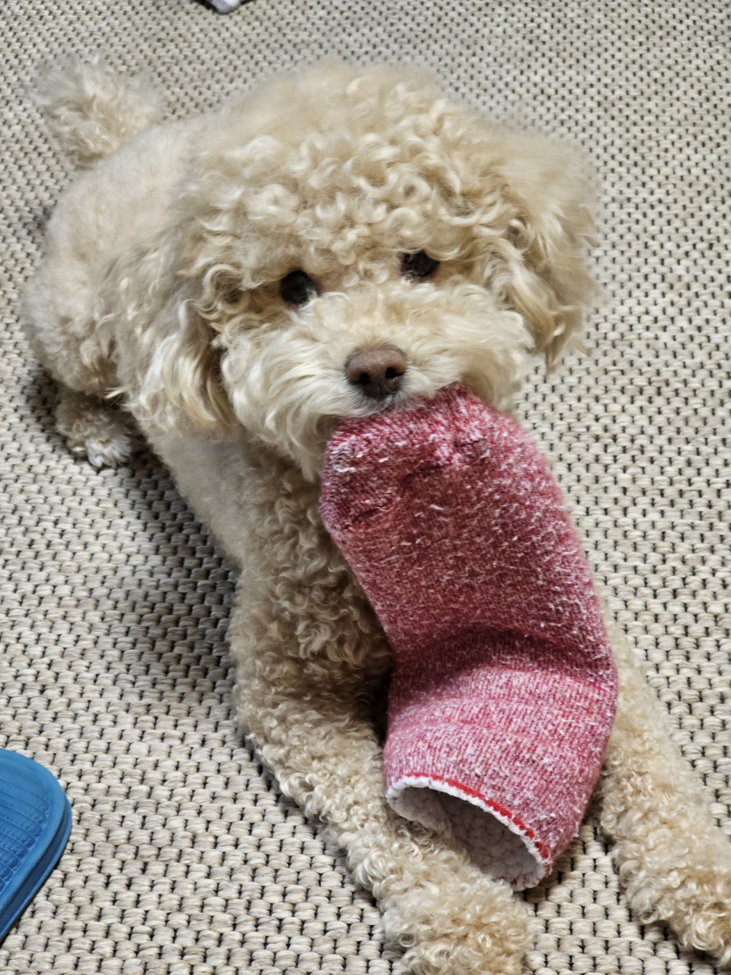 랑이(곤지암 해사) 4년차 후기입니다.