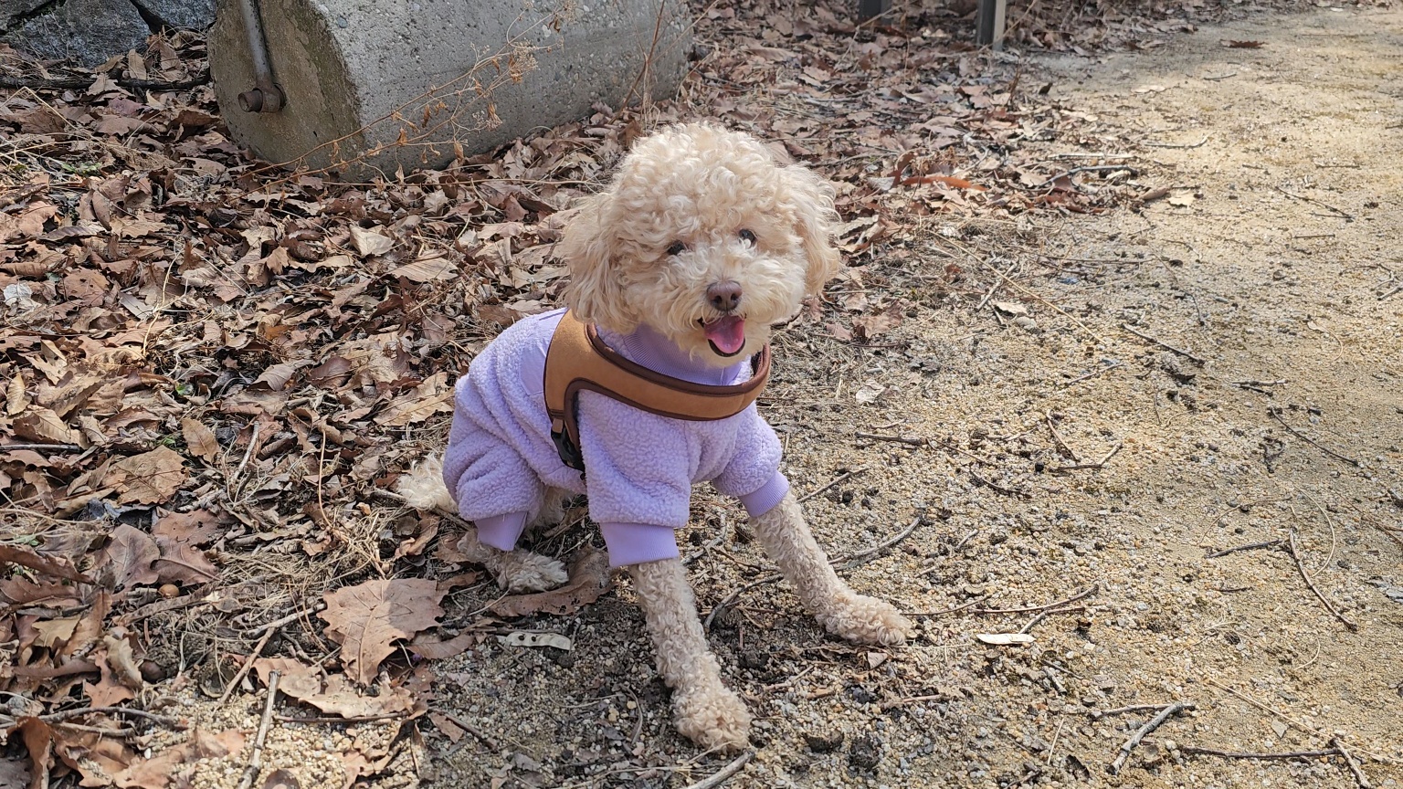 랑이(곤지암 해사) 4년차 후기입니다.