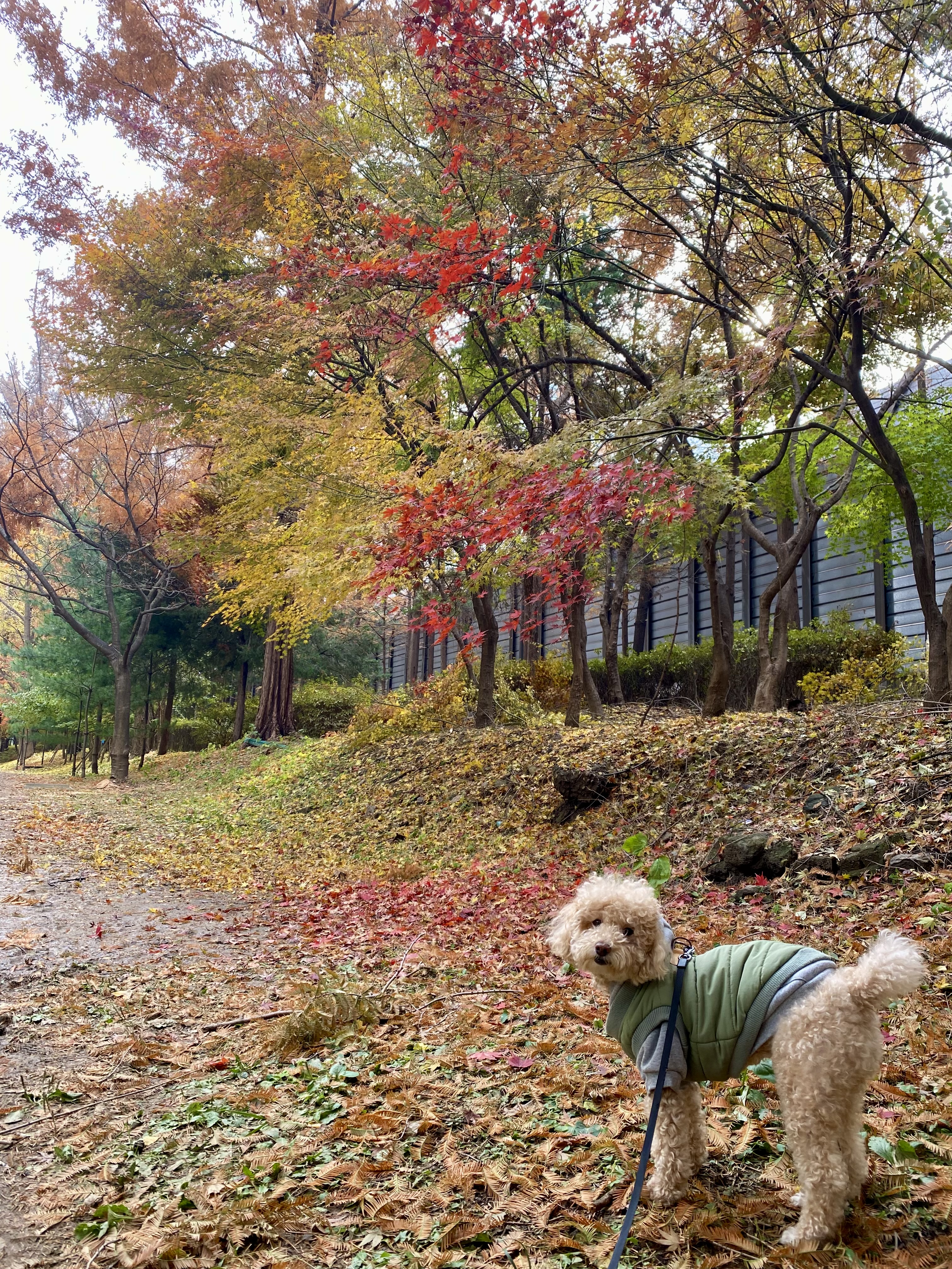 랑이(곤지암 해사) 4년차 후기입니다.