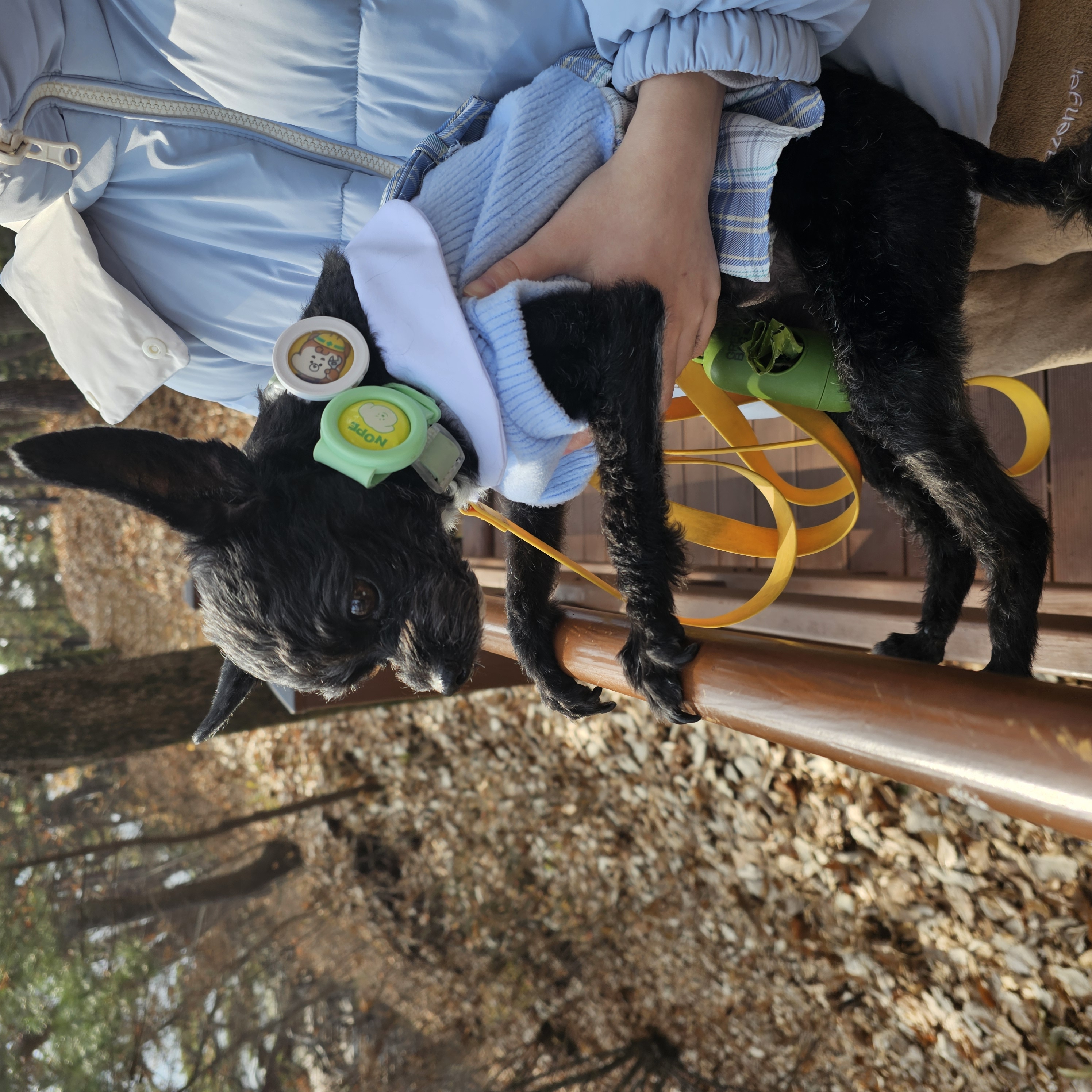 아라(푸푸아가 뽀이) 소식전해요♡