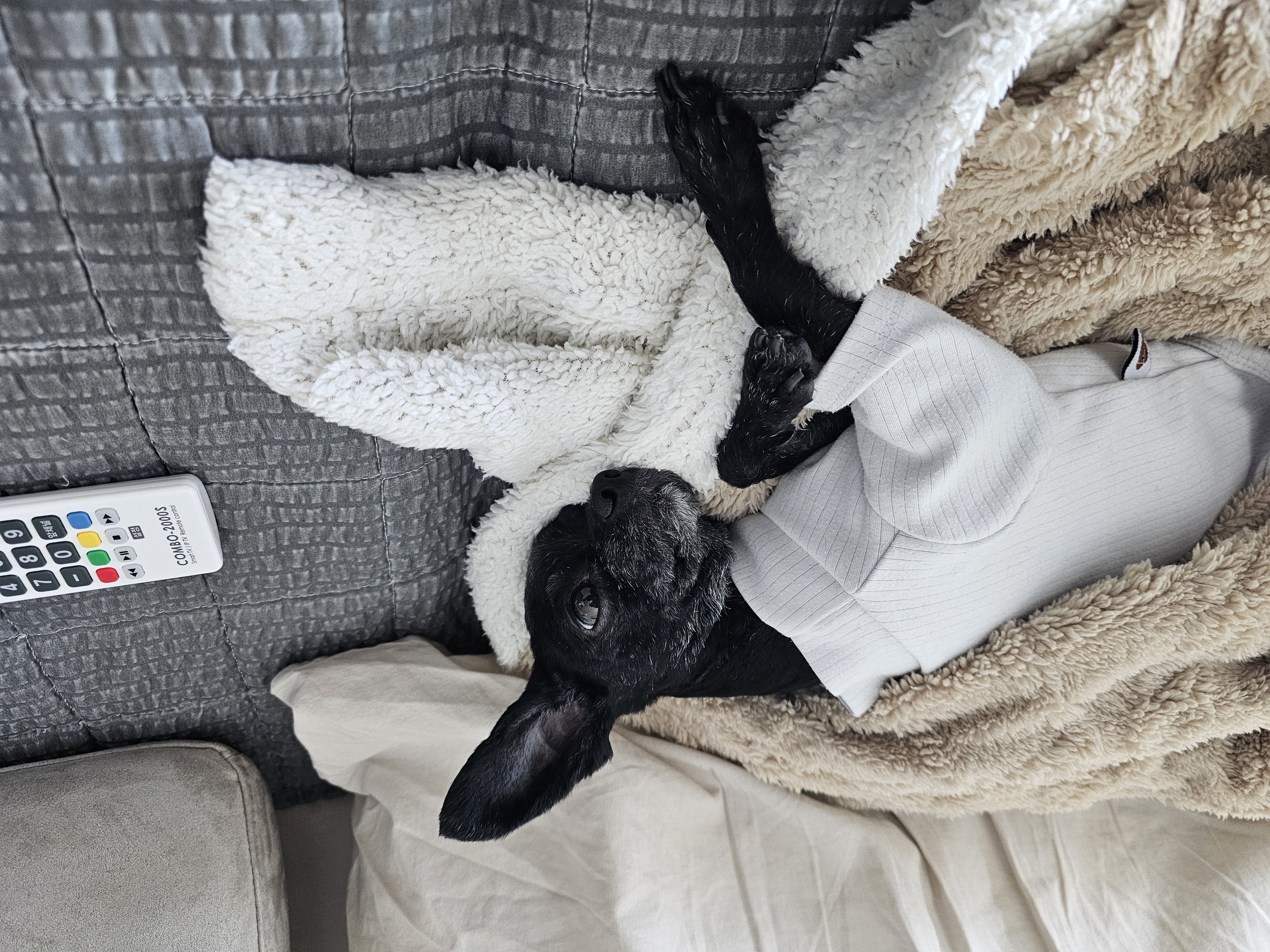 아라(푸푸아가 뽀이) 소식전해요♡