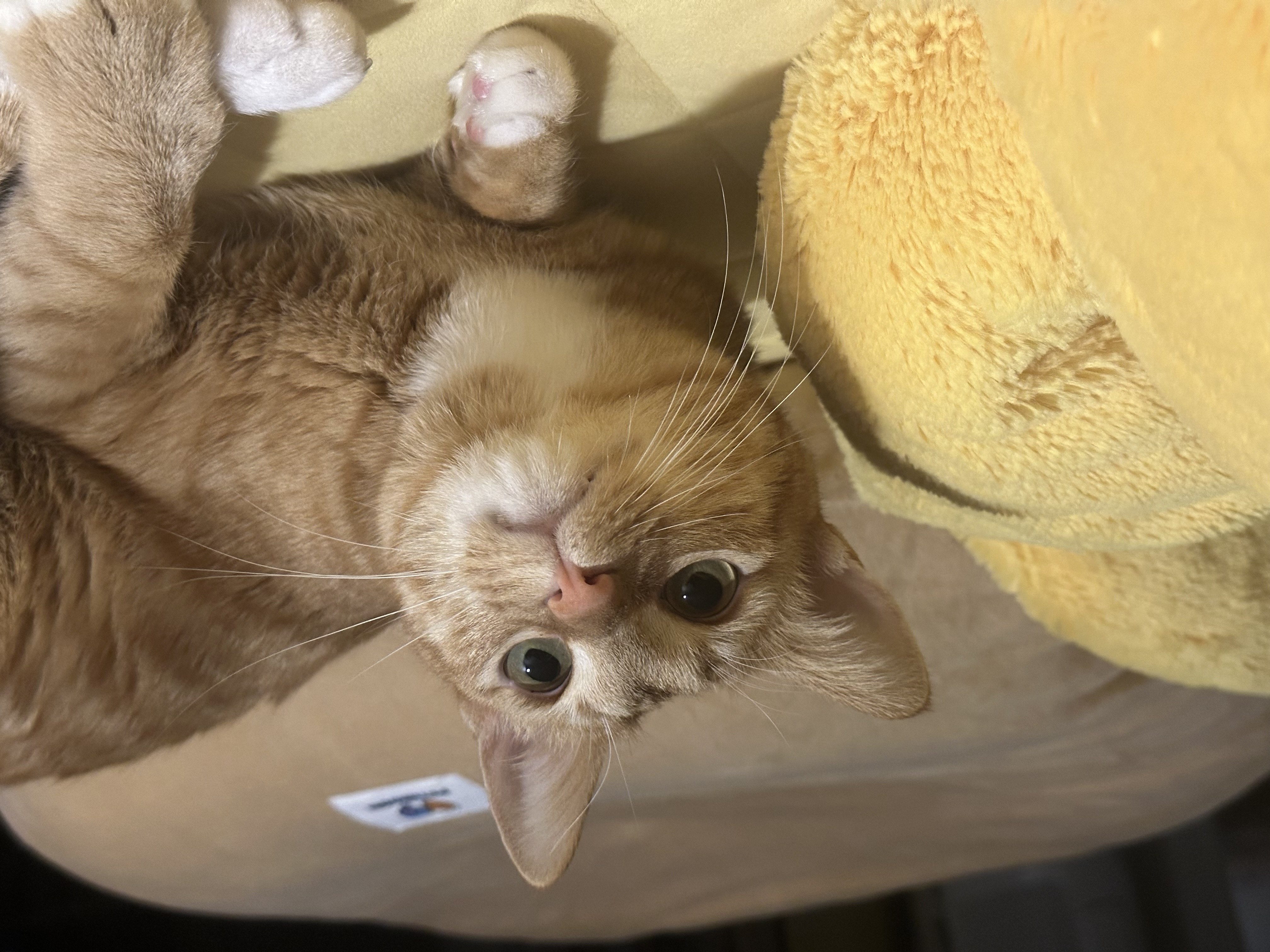 단이(단단이)는 잘 지내요