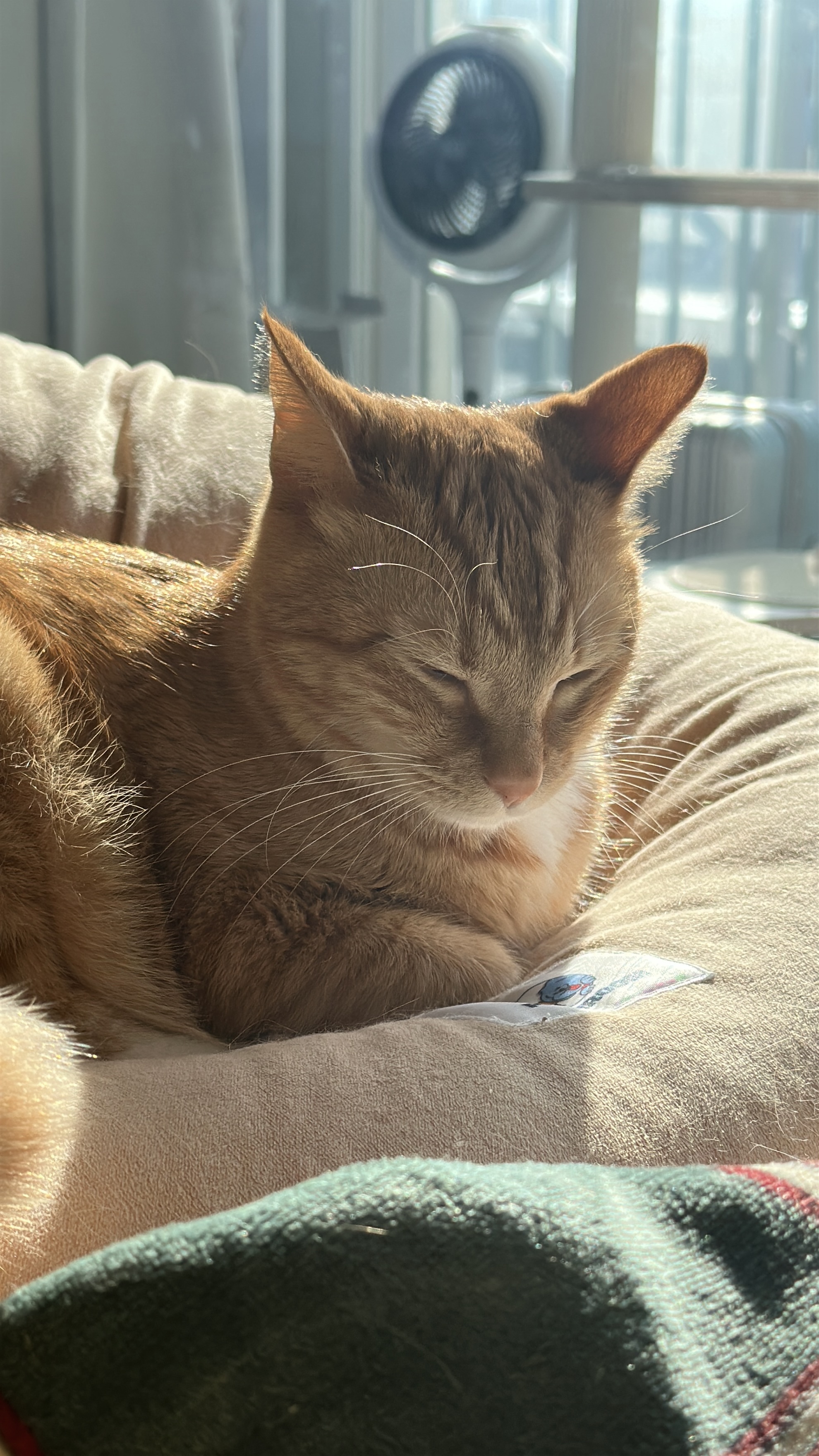 단이(단단이)는 잘 지내요