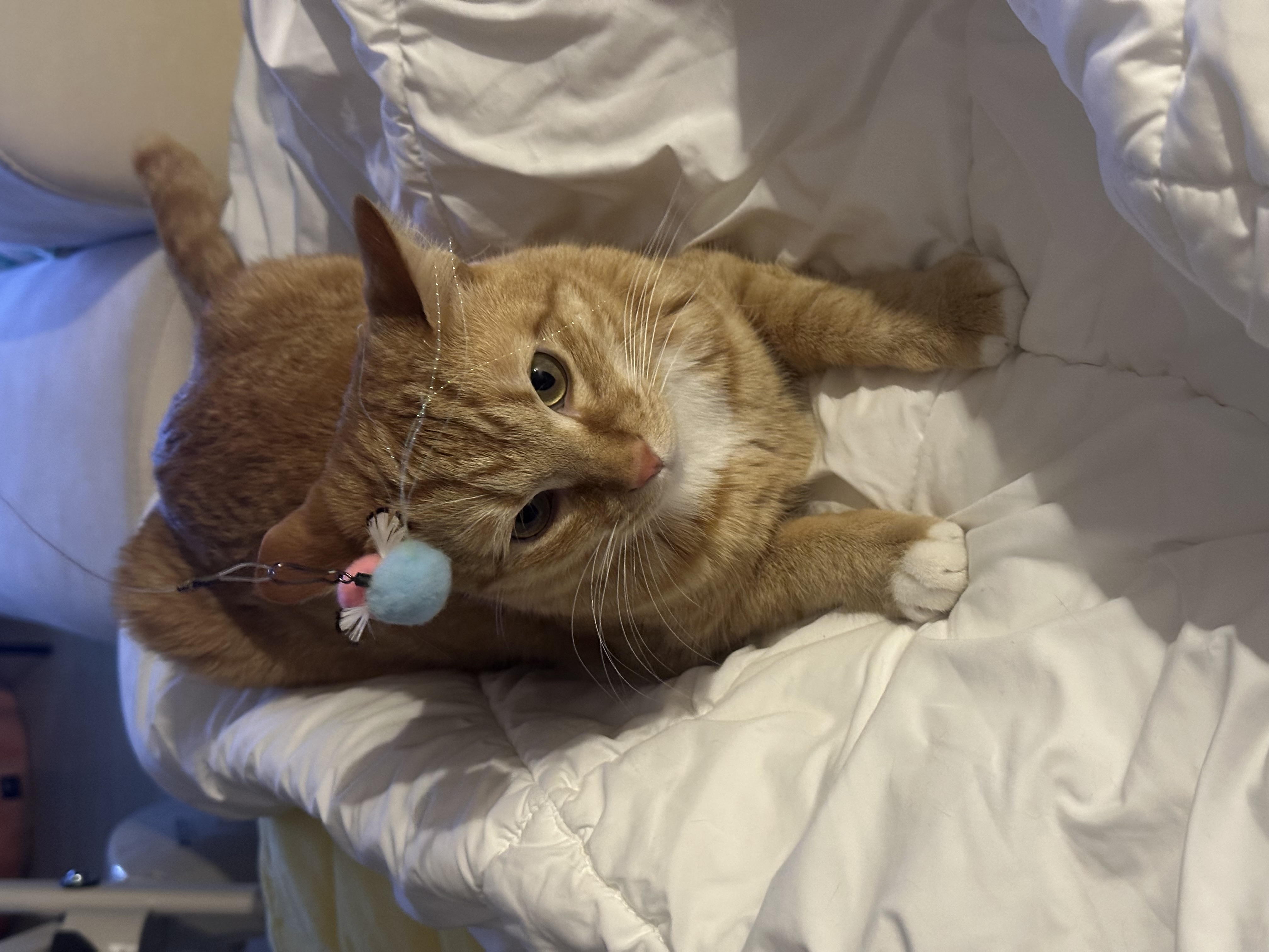 단이(단단이)는 잘 지내요