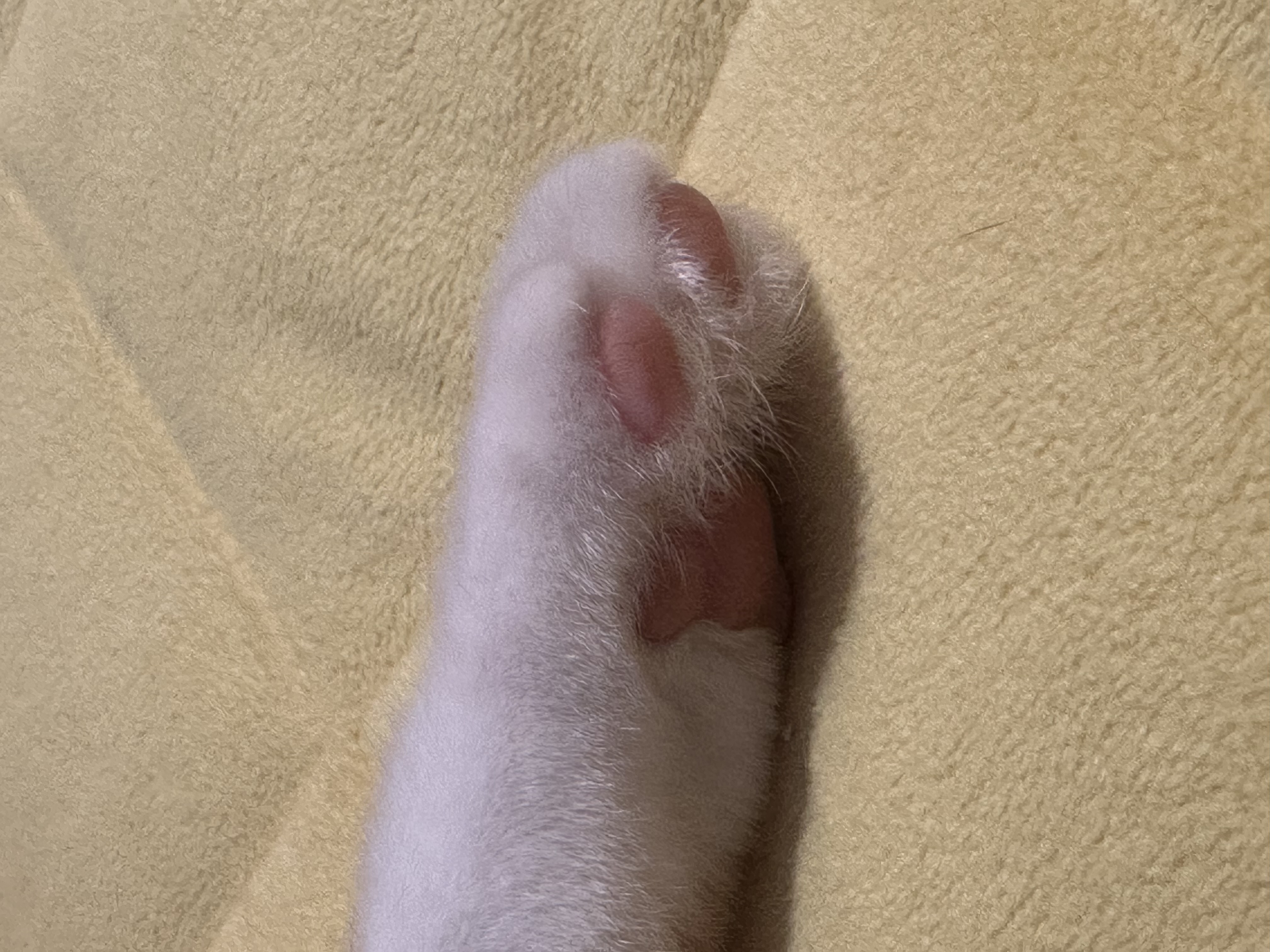 단이(단단이)는 잘 지내요