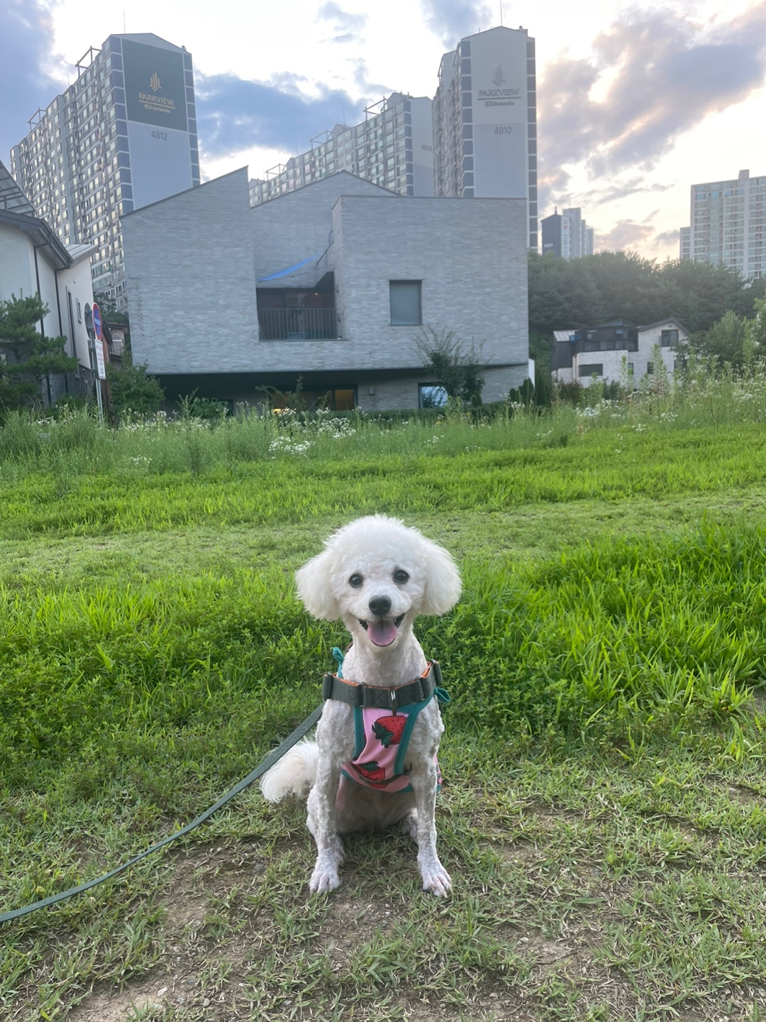 루시(양곤)이의 행복한 400일 일기