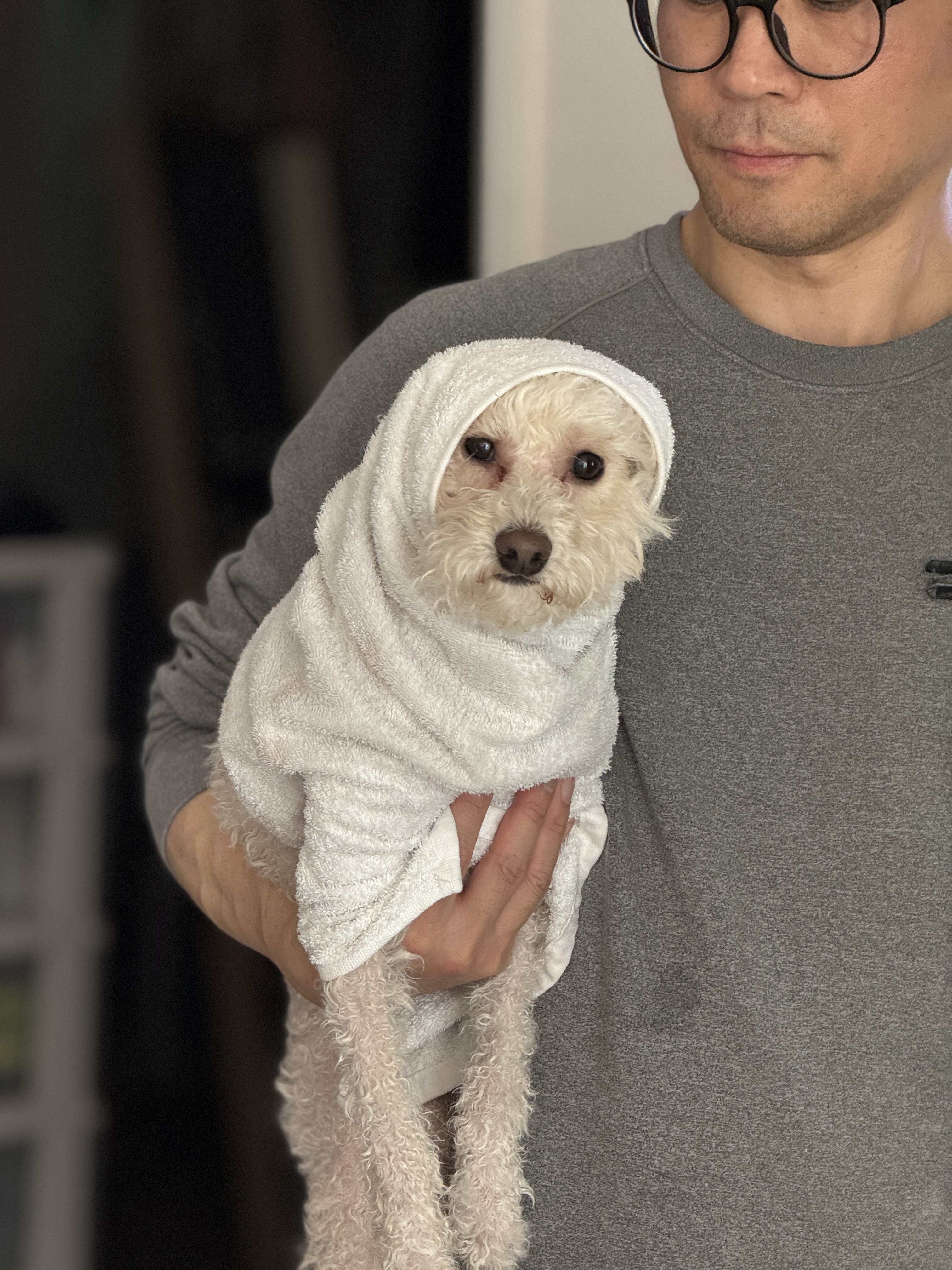 쿠크자견 (곤지암 연지 ) 심쿵