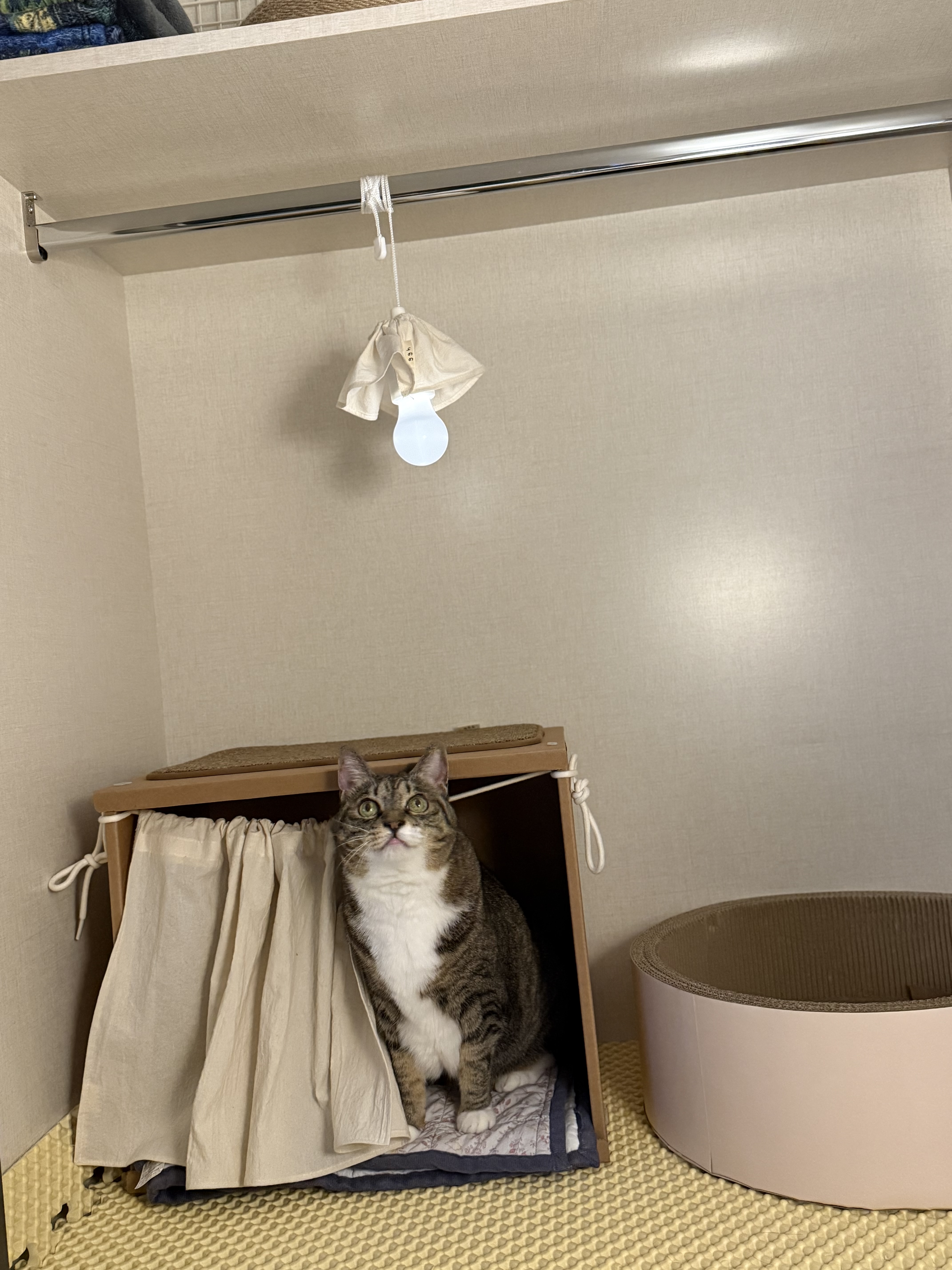 호란이의 귀여운 집밥생활 한 달 일기!