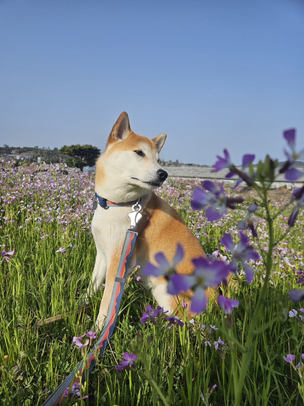 강이(세시)는 잘 지내요~~!