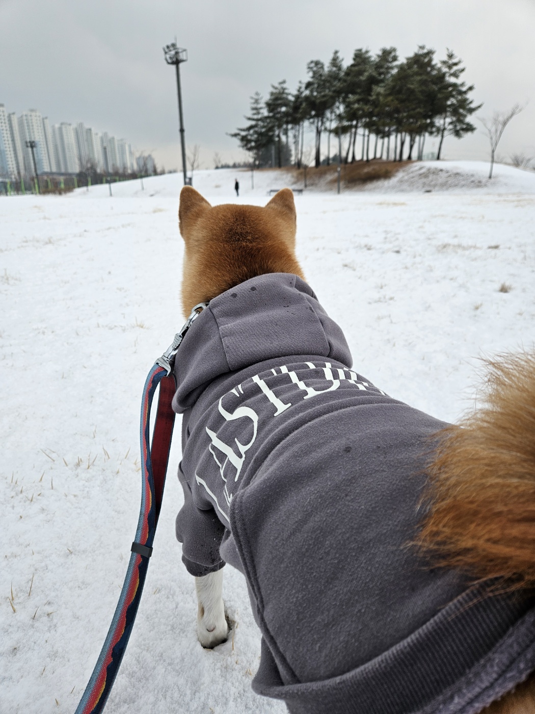 강이(세시)는 잘 지내요~~!