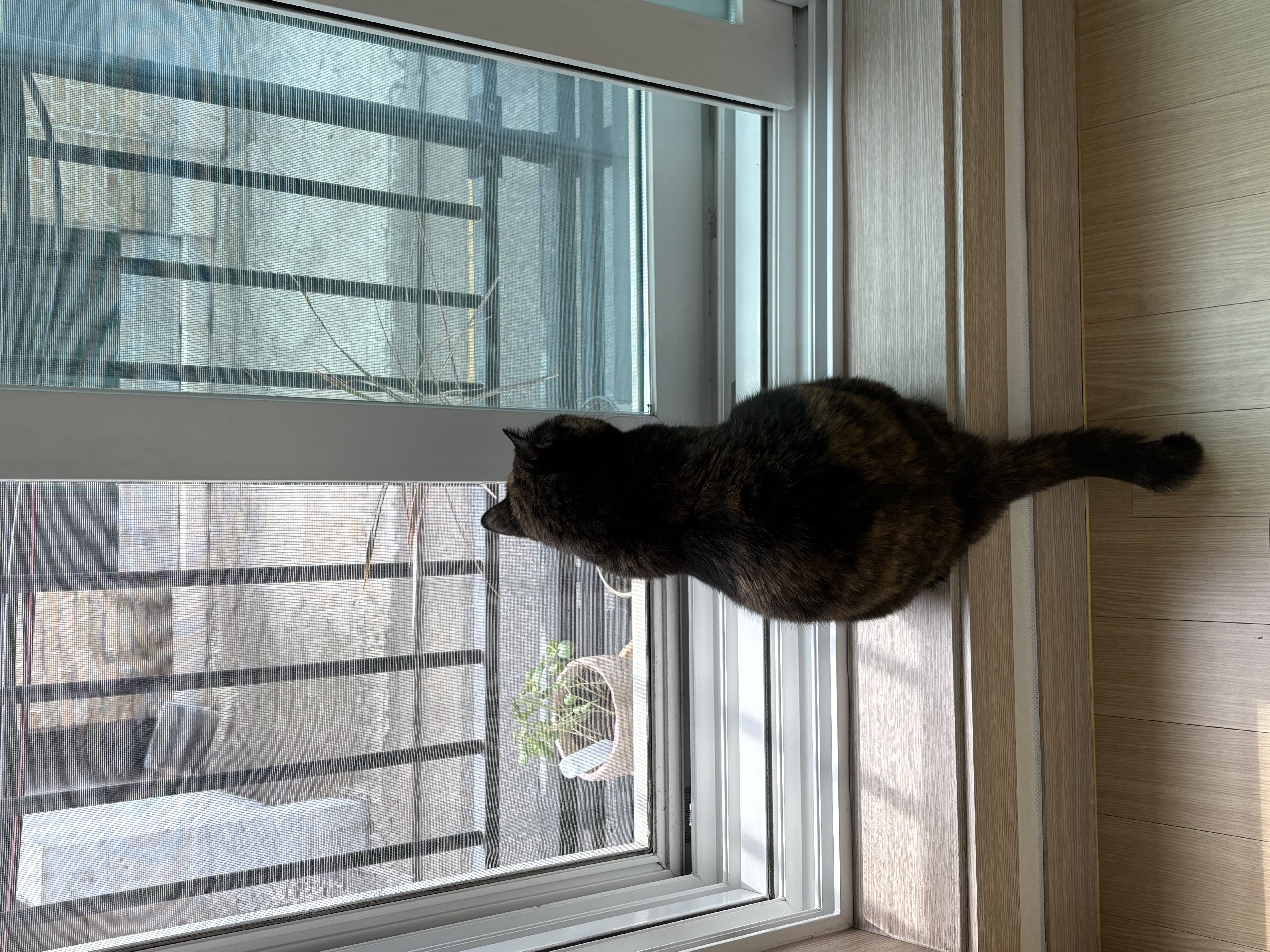 [소롱이] 귀여운 고롱고롱 라이더 소롱이 일주일 주행기록