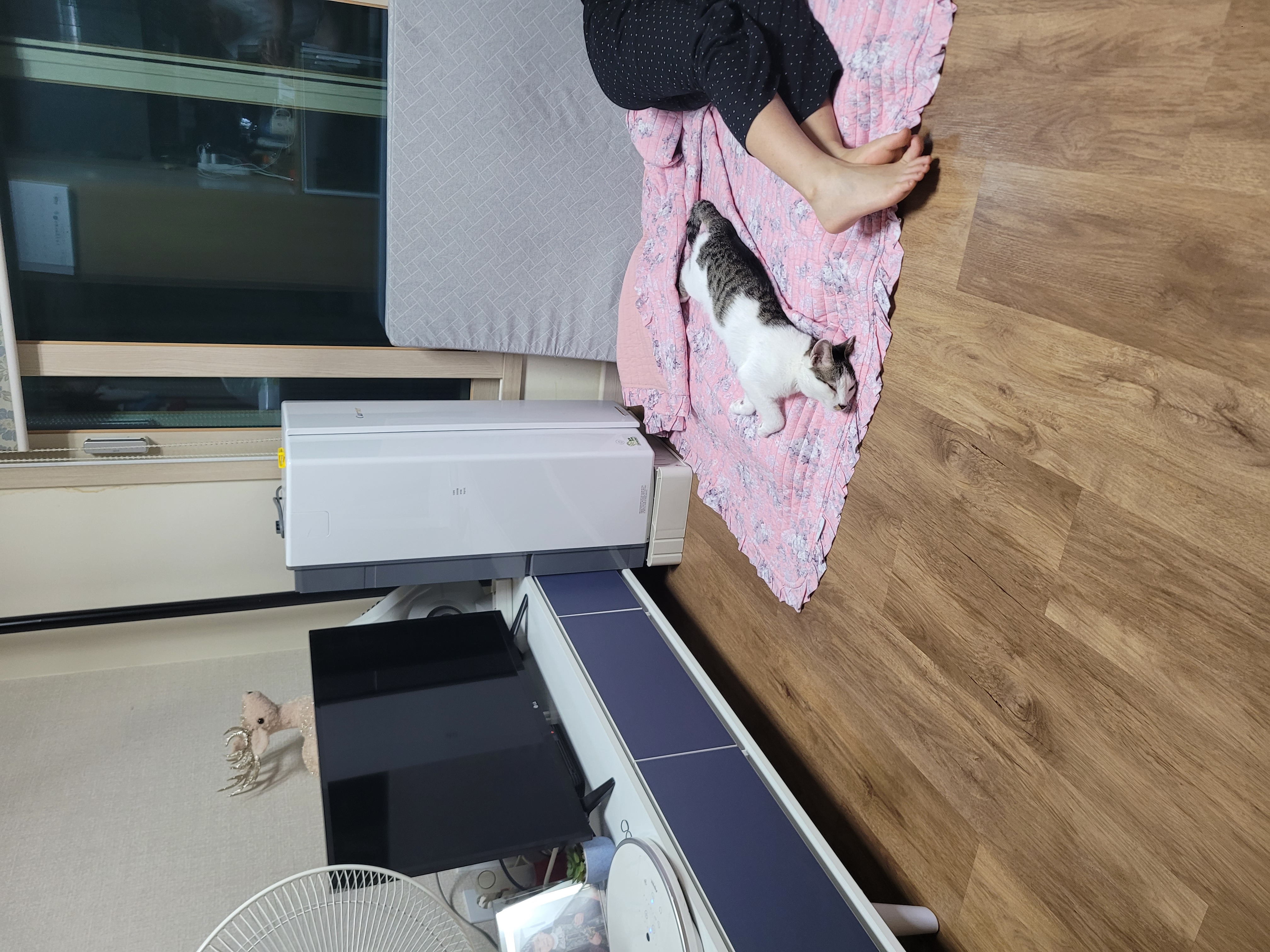 우동이 한달