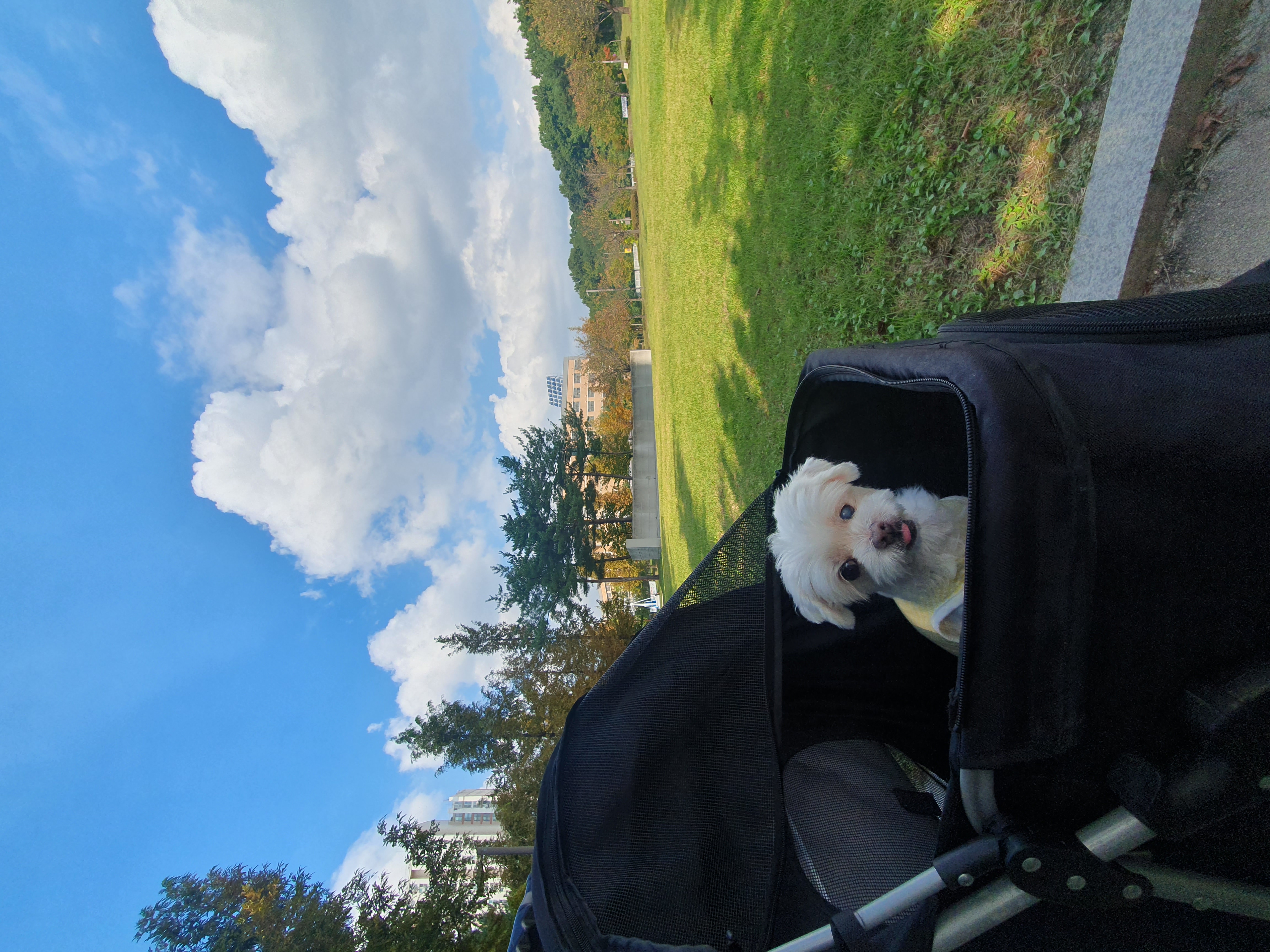 빈이 5년차 이야기