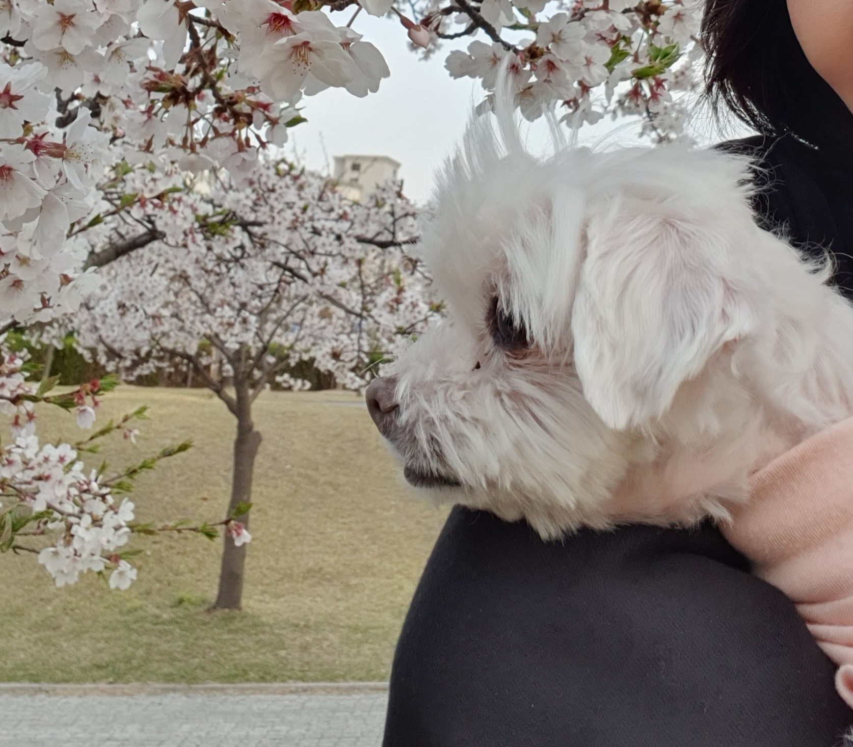 빈이 5년차 이야기