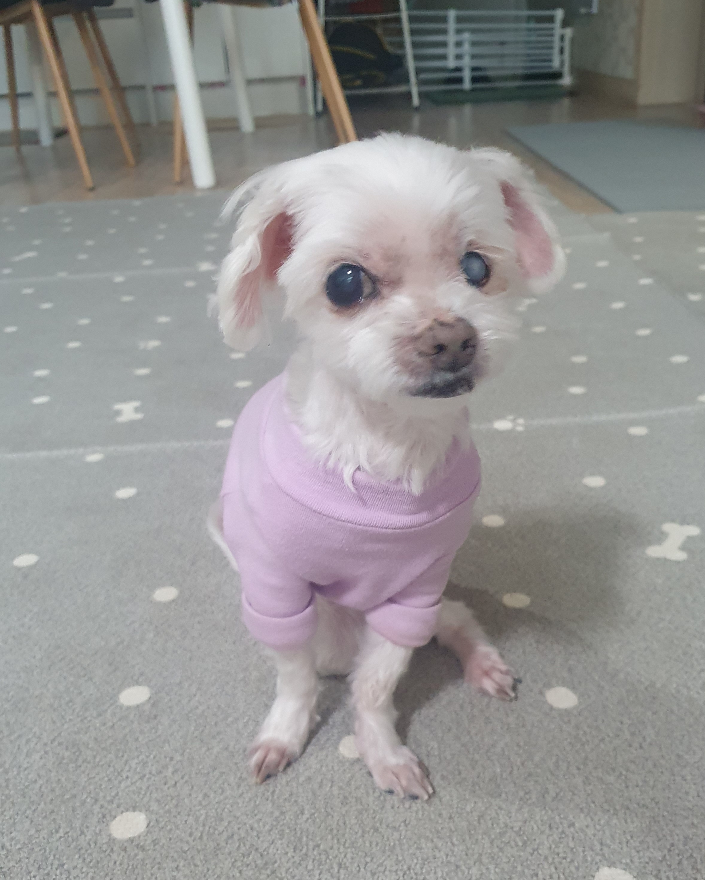 빈이 5년차 이야기