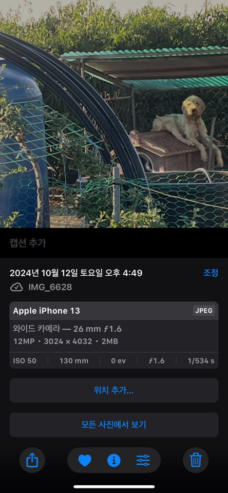 오랜 시간 방치로 피부병을 앓고 있는 아이를 구조해주세요