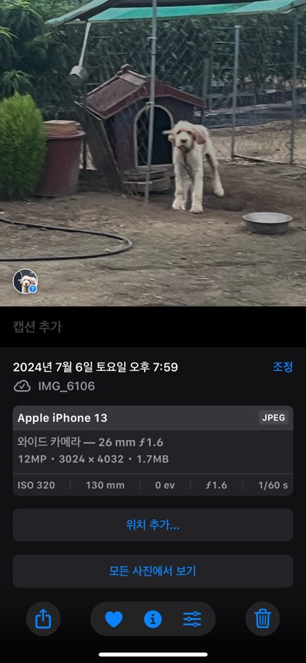 오랜 시간 방치로 피부병을 앓고 있는 아이를 구조해주세요