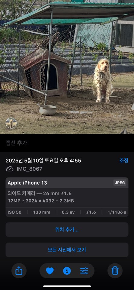 오랜 시간 방치로 피부병을 앓고 있는 아이를 구조해주세요