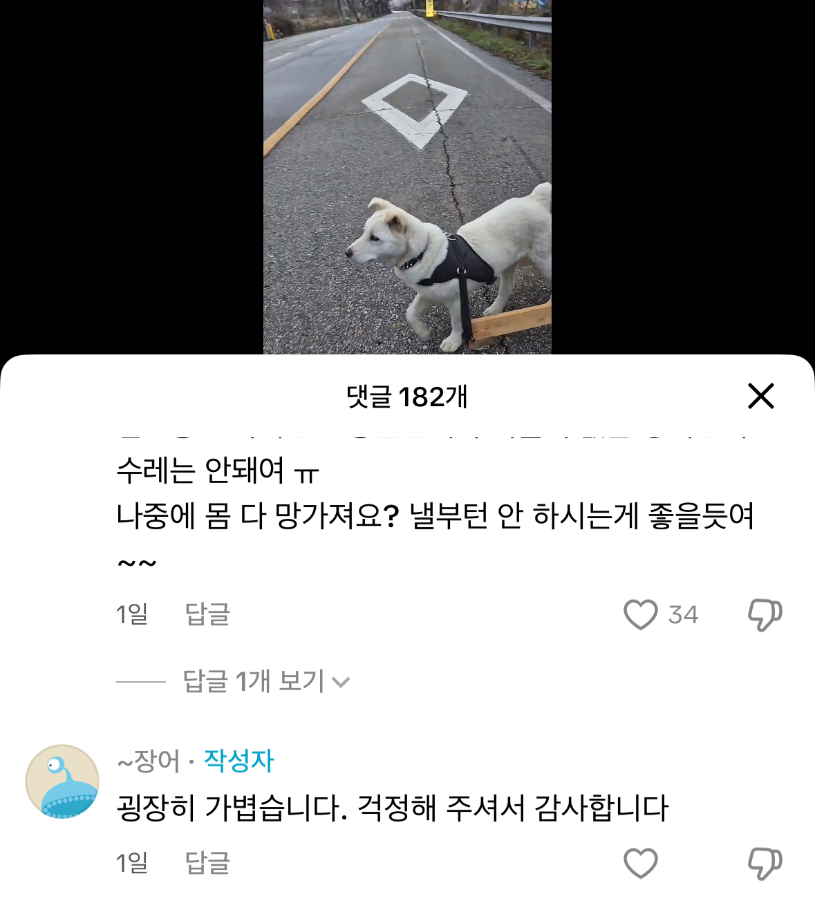 강아지 몸에 수레를 달았어요