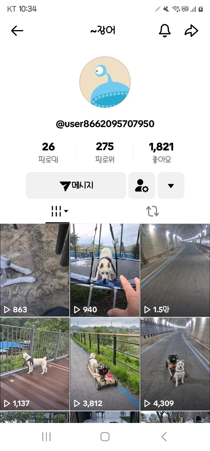 강아지 몸에 수레를 달았어요