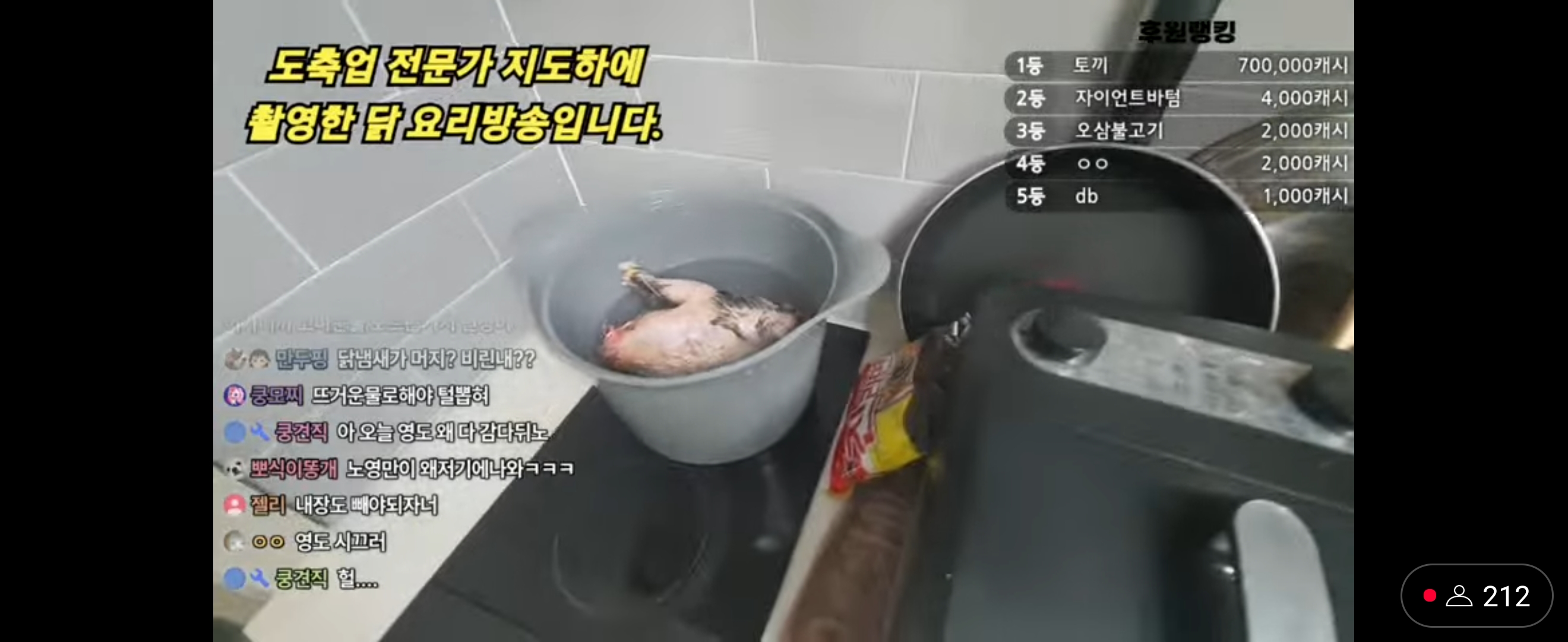 동물학대 컨텐츠