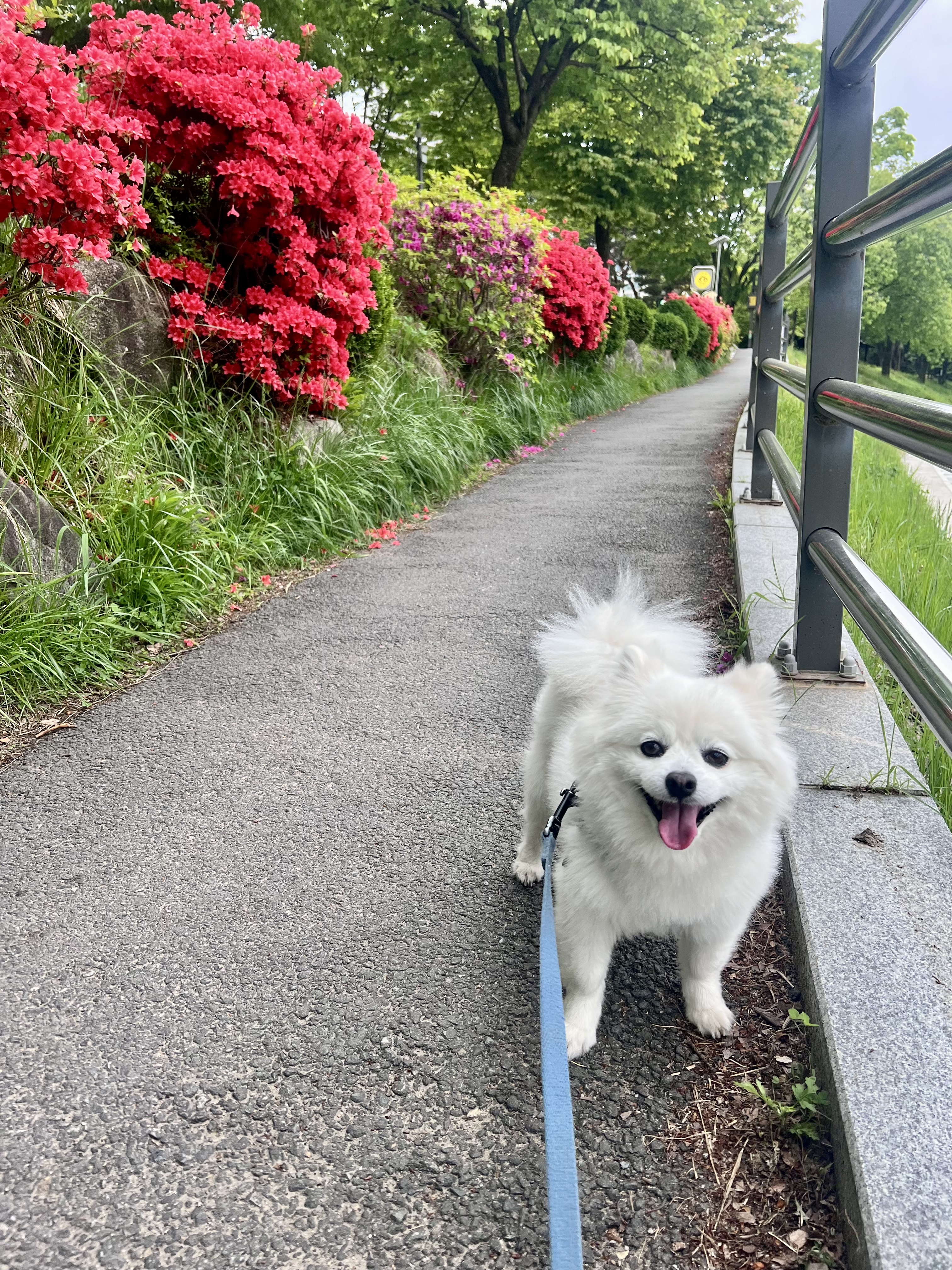 오쥬 입양 3개월차 후기입니다!