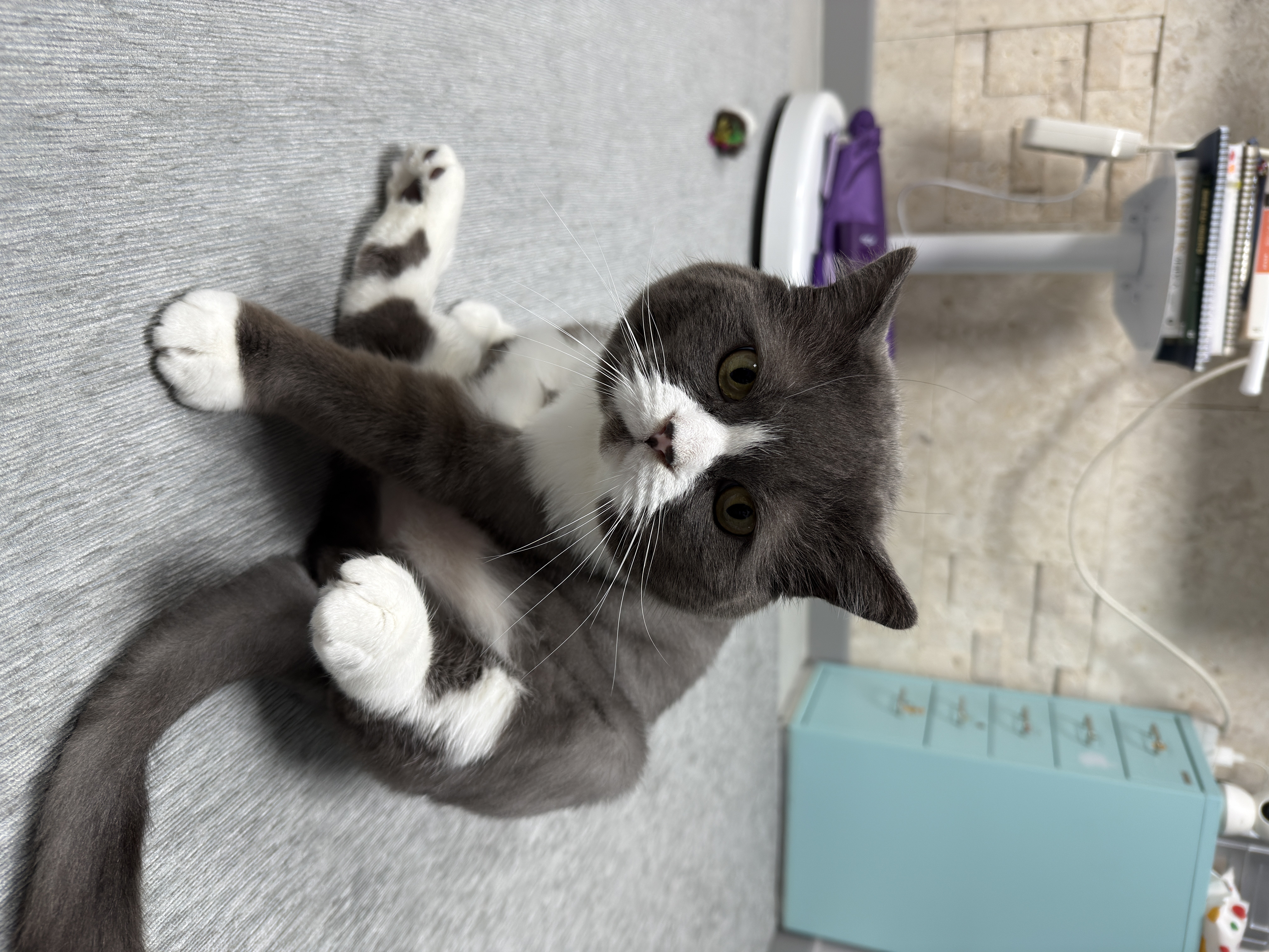 이주몽 (구 건우) 벌써 일년