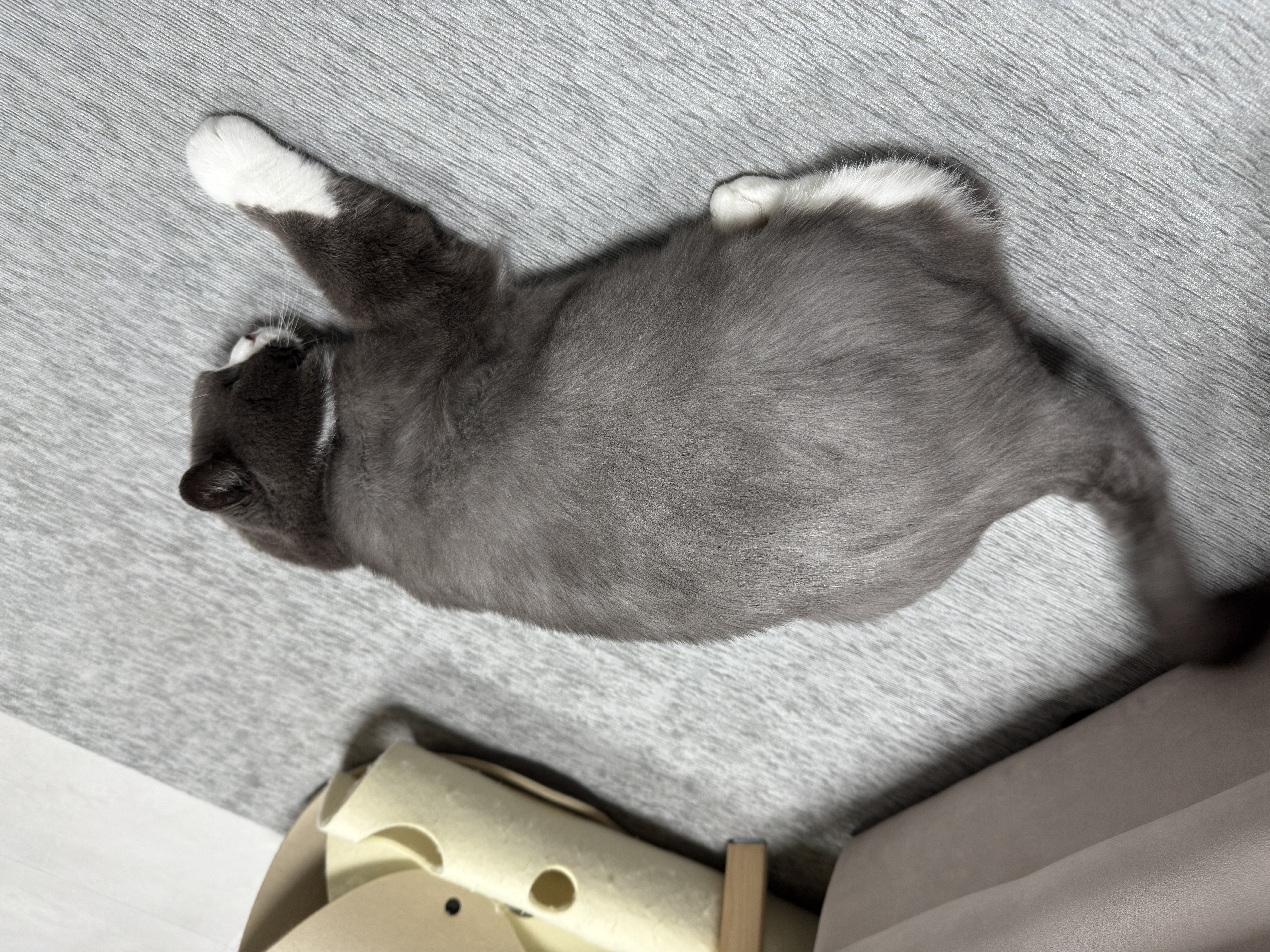 이주몽 (구 건우) 벌써 일년