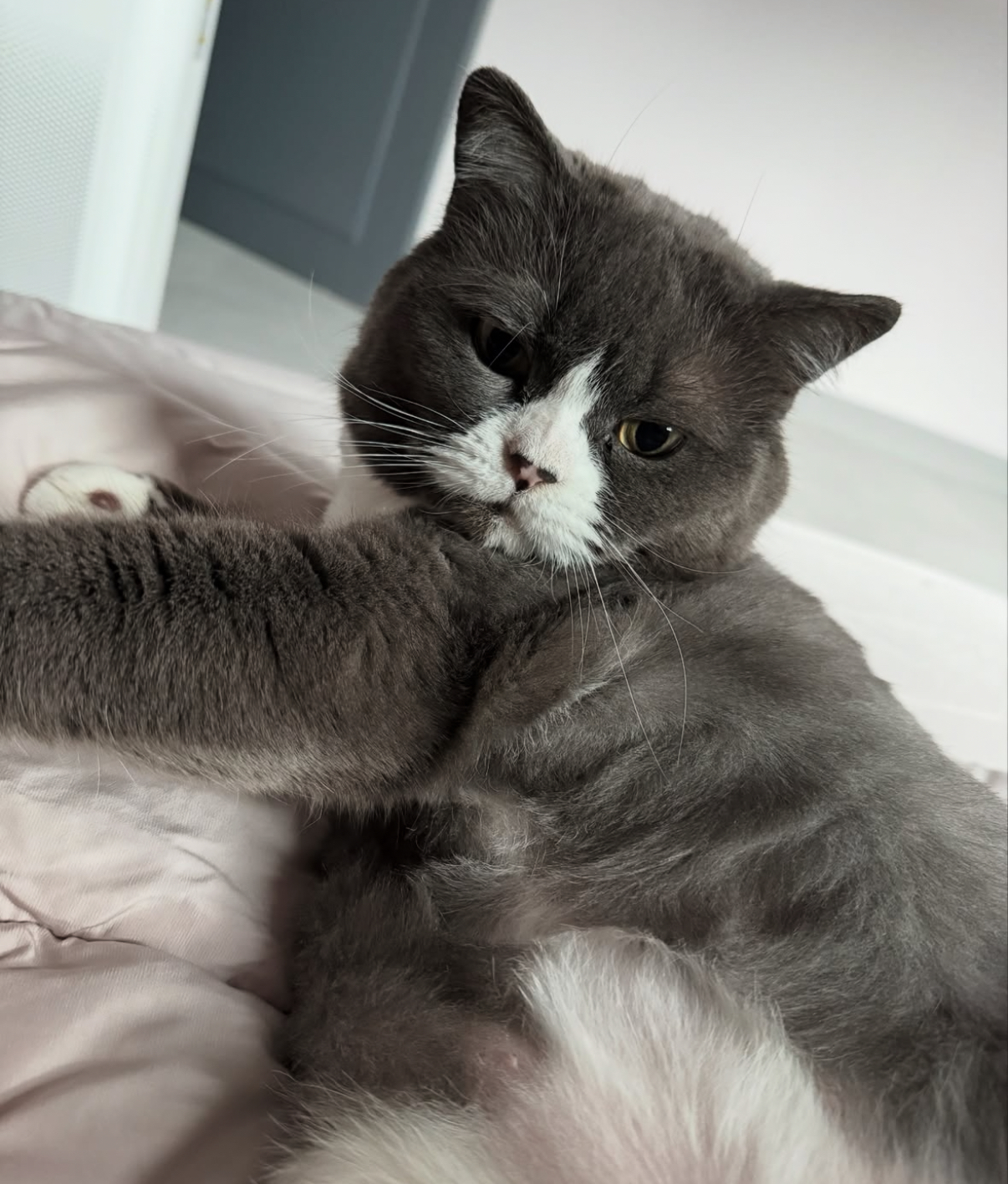 이주몽 (구 건우) 벌써 일년