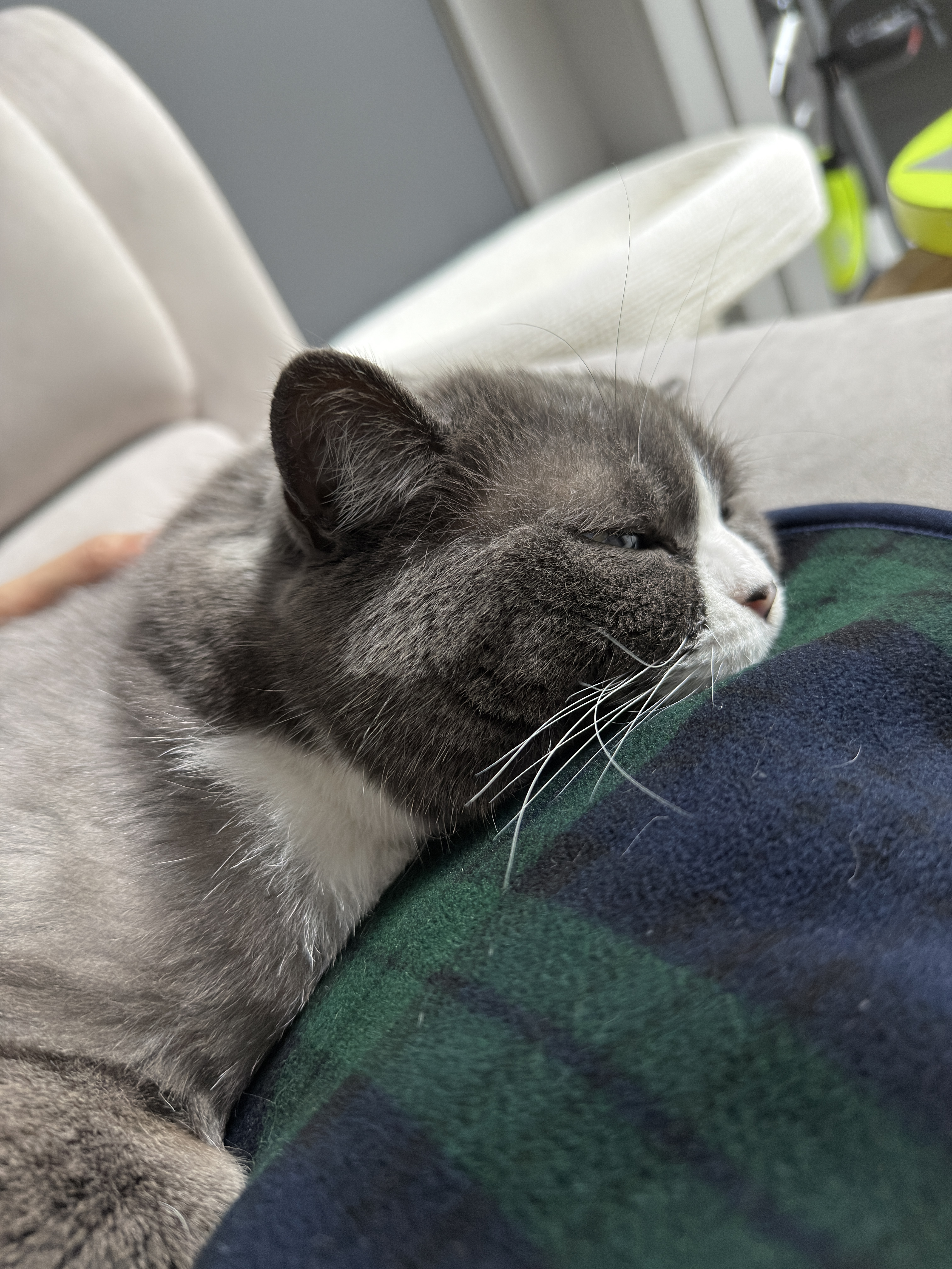 이주몽 (구 건우) 벌써 일년