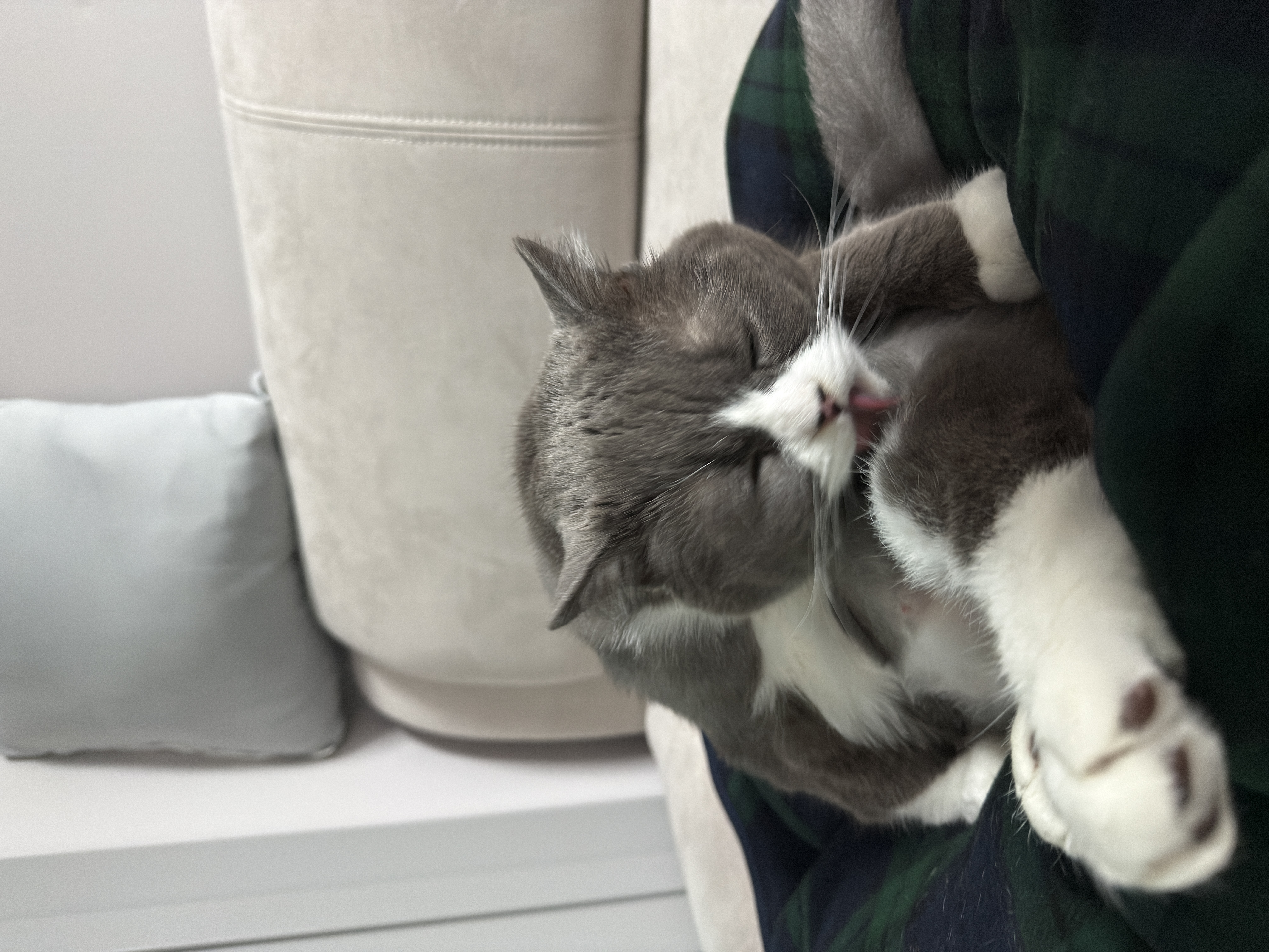 이주몽 (구 건우) 벌써 일년