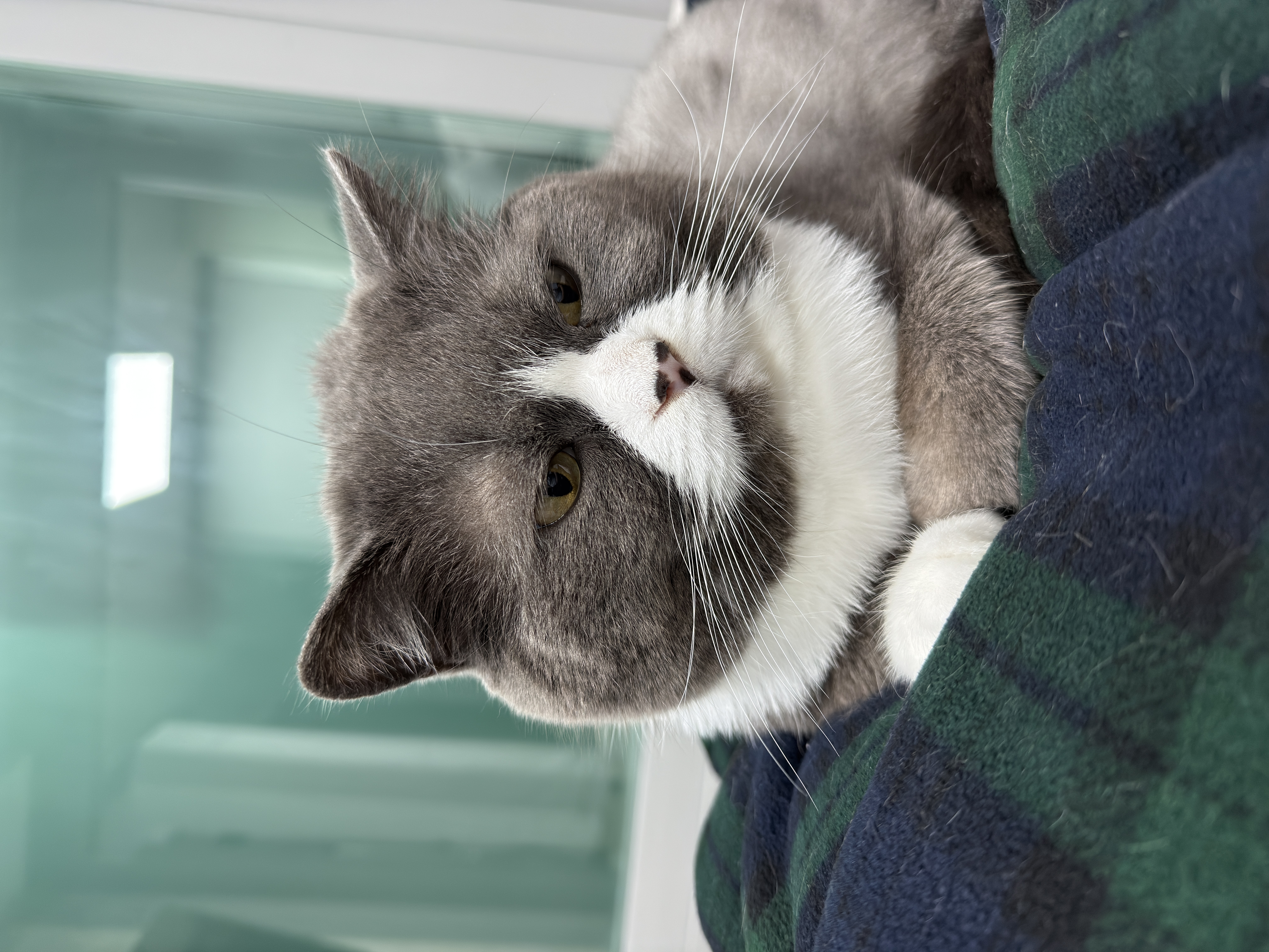 이주몽 (구 건우) 벌써 일년