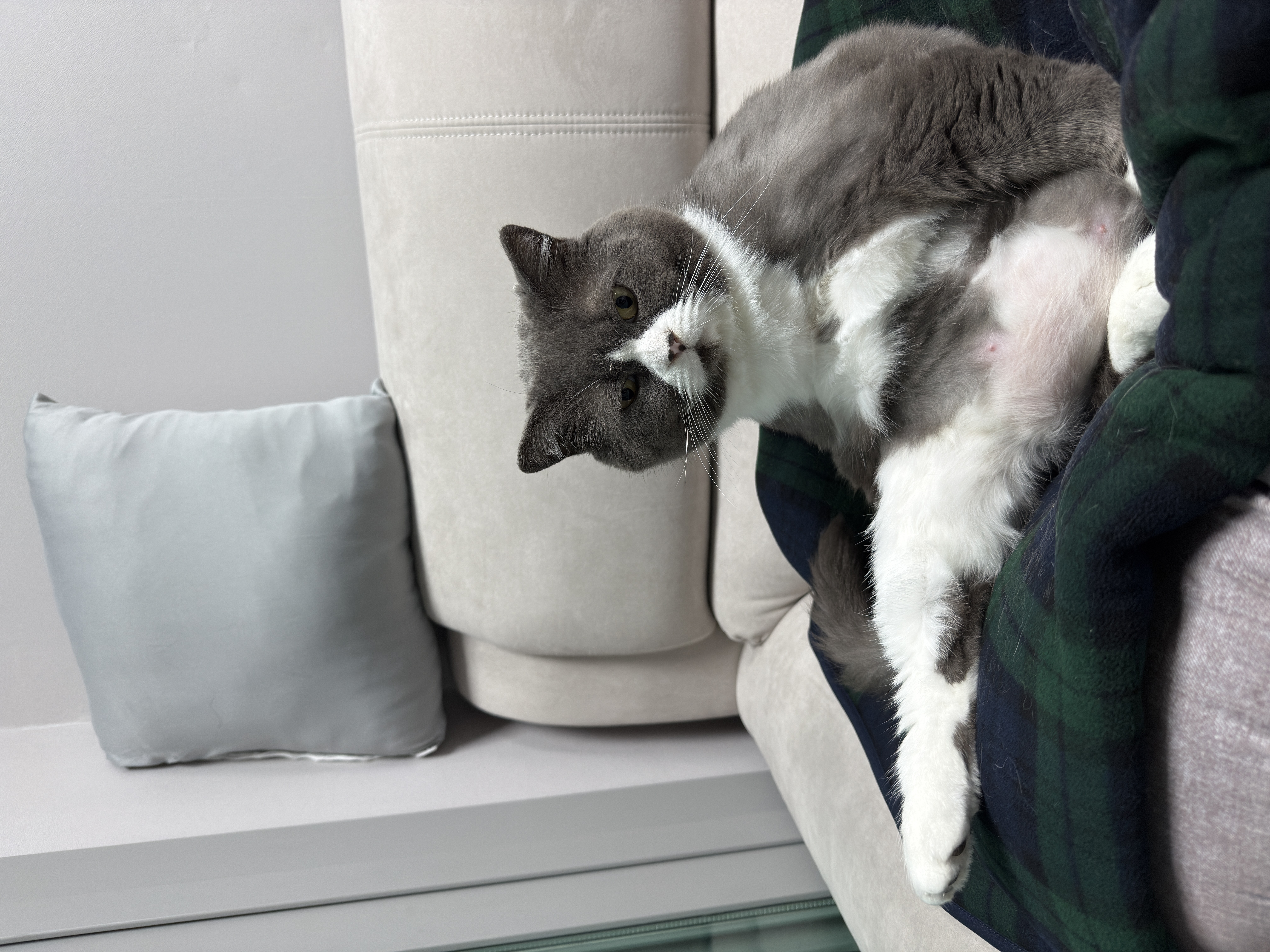 이주몽 (구 건우) 벌써 일년