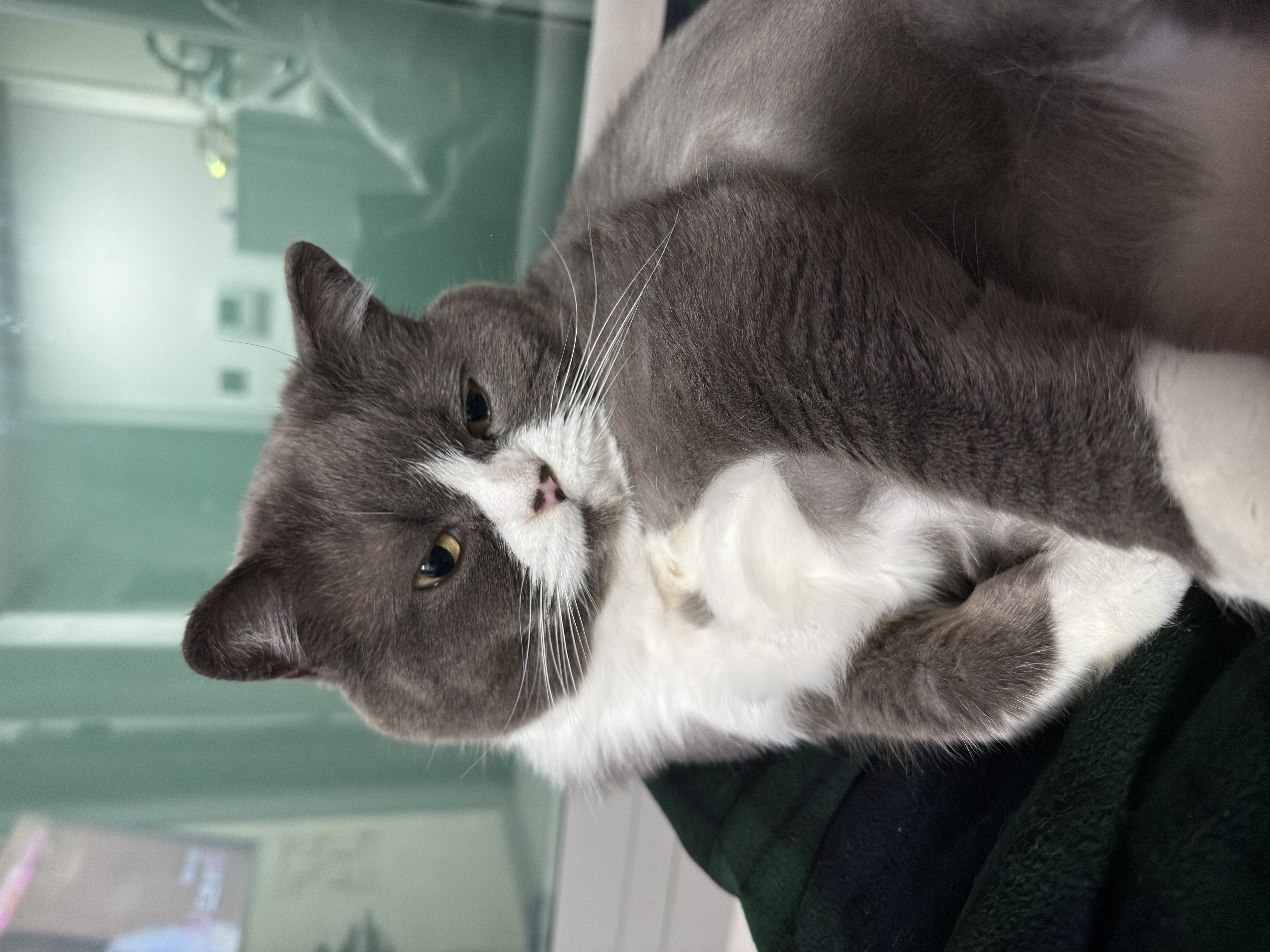 이주몽 (구 건우) 벌써 일년